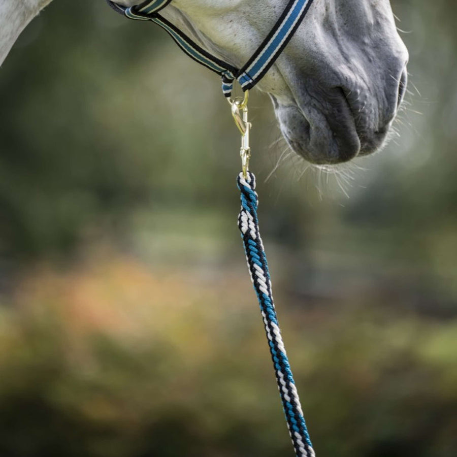 Bucas Lead Rope Comfort with Carabiner Sapphire