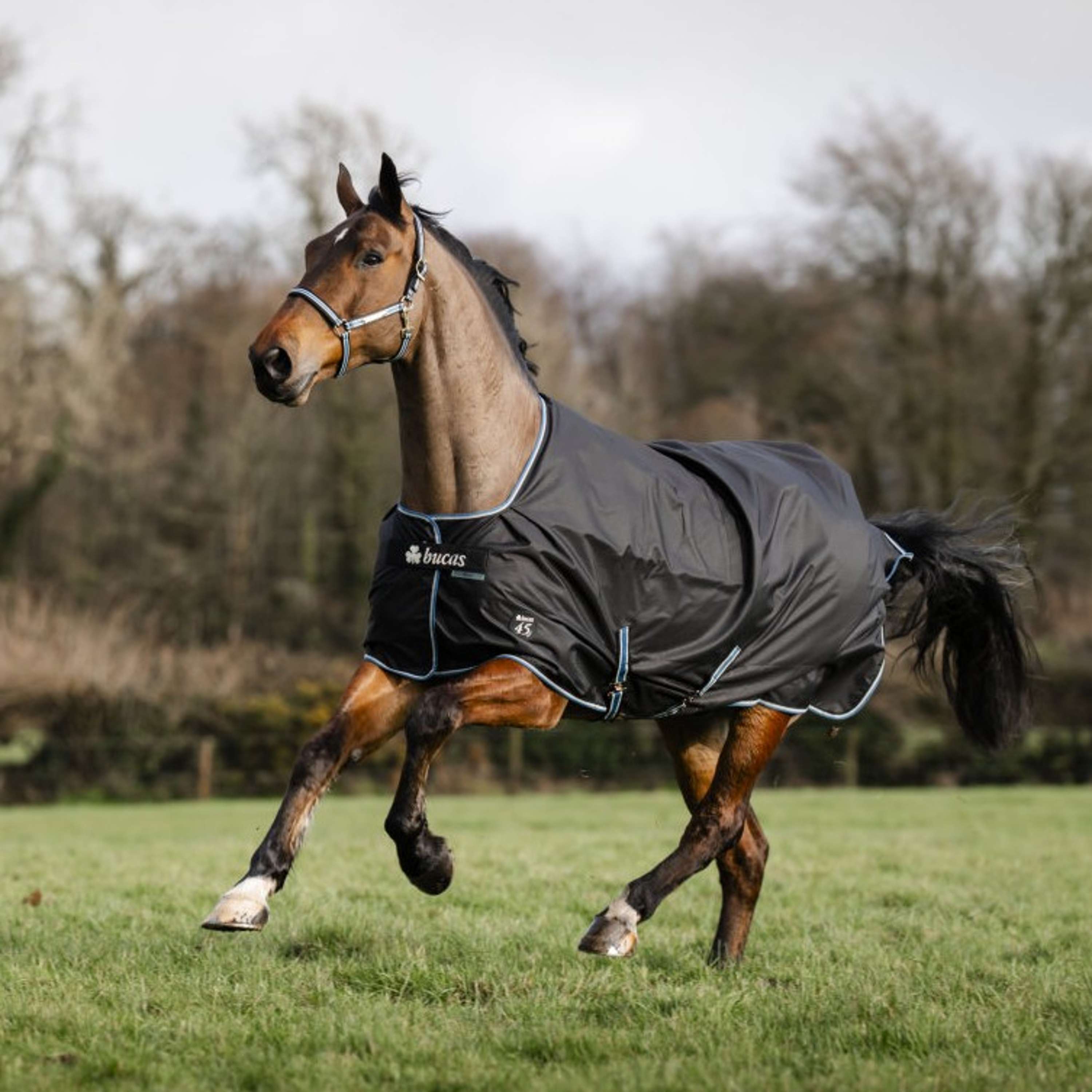 Bucas Anniversary Turnout Stay-dry 150g Sapphire