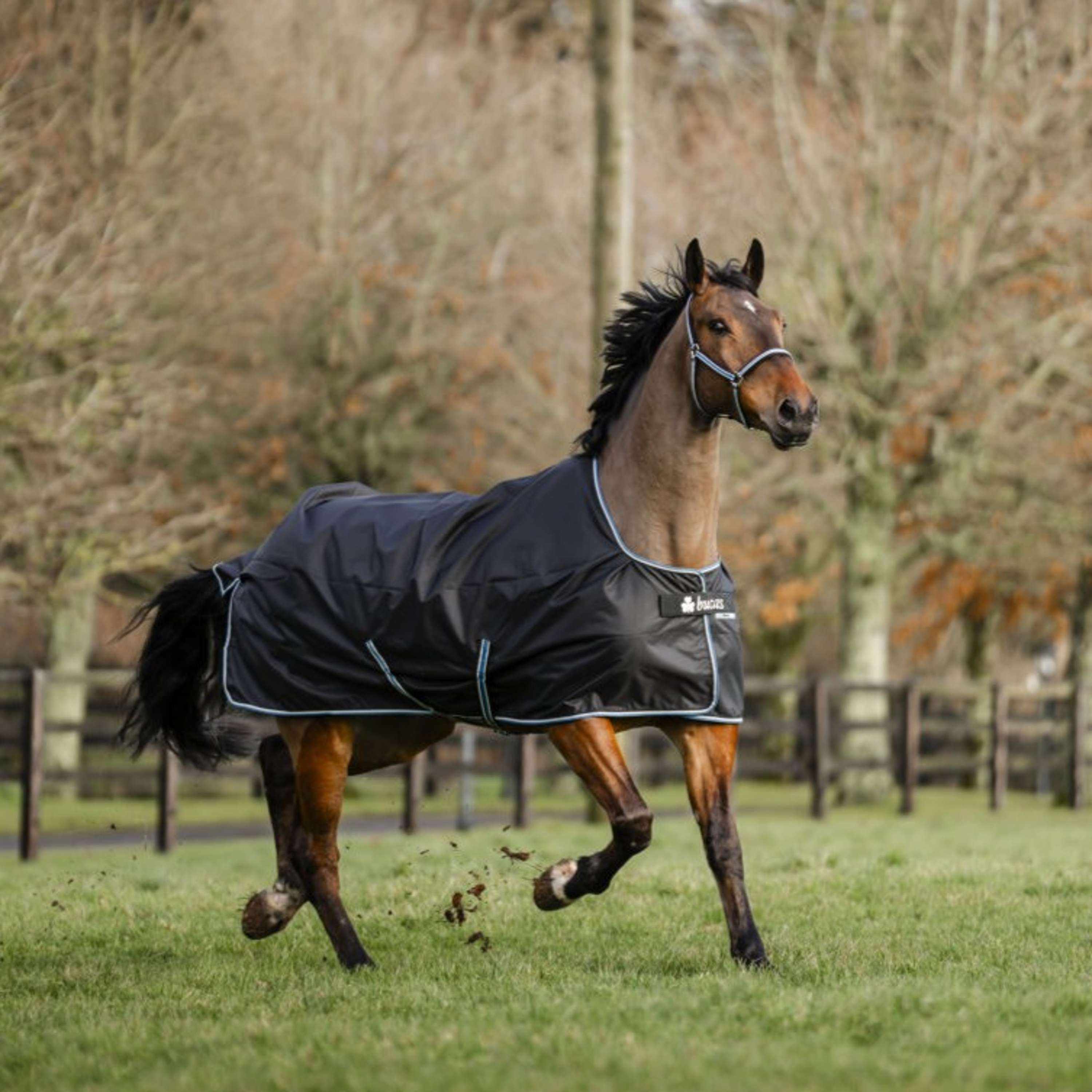 Bucas Anniversary Turnout Stay-dry 150g Sapphire