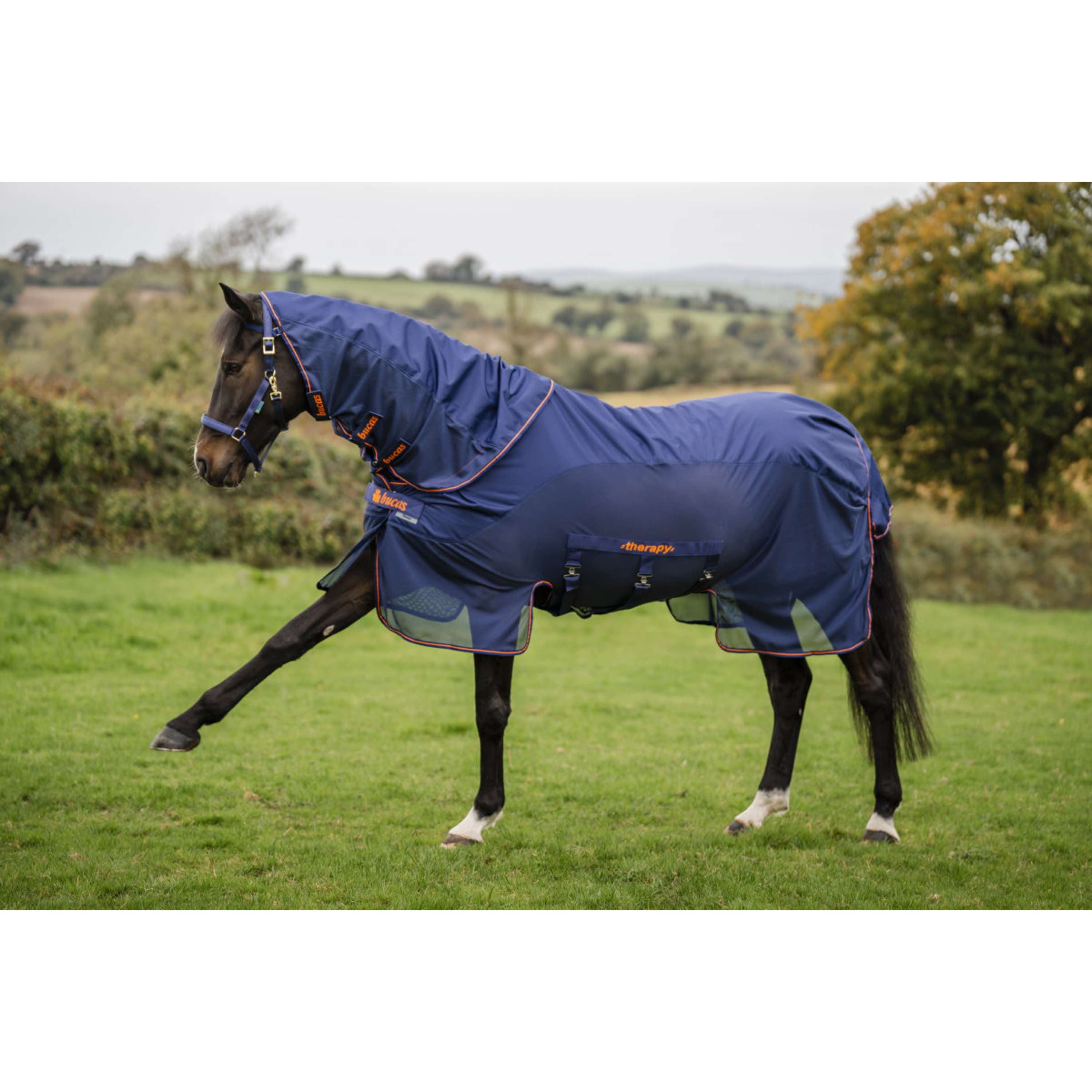 Bucas Therapy X-Range Rain Navy/Orange