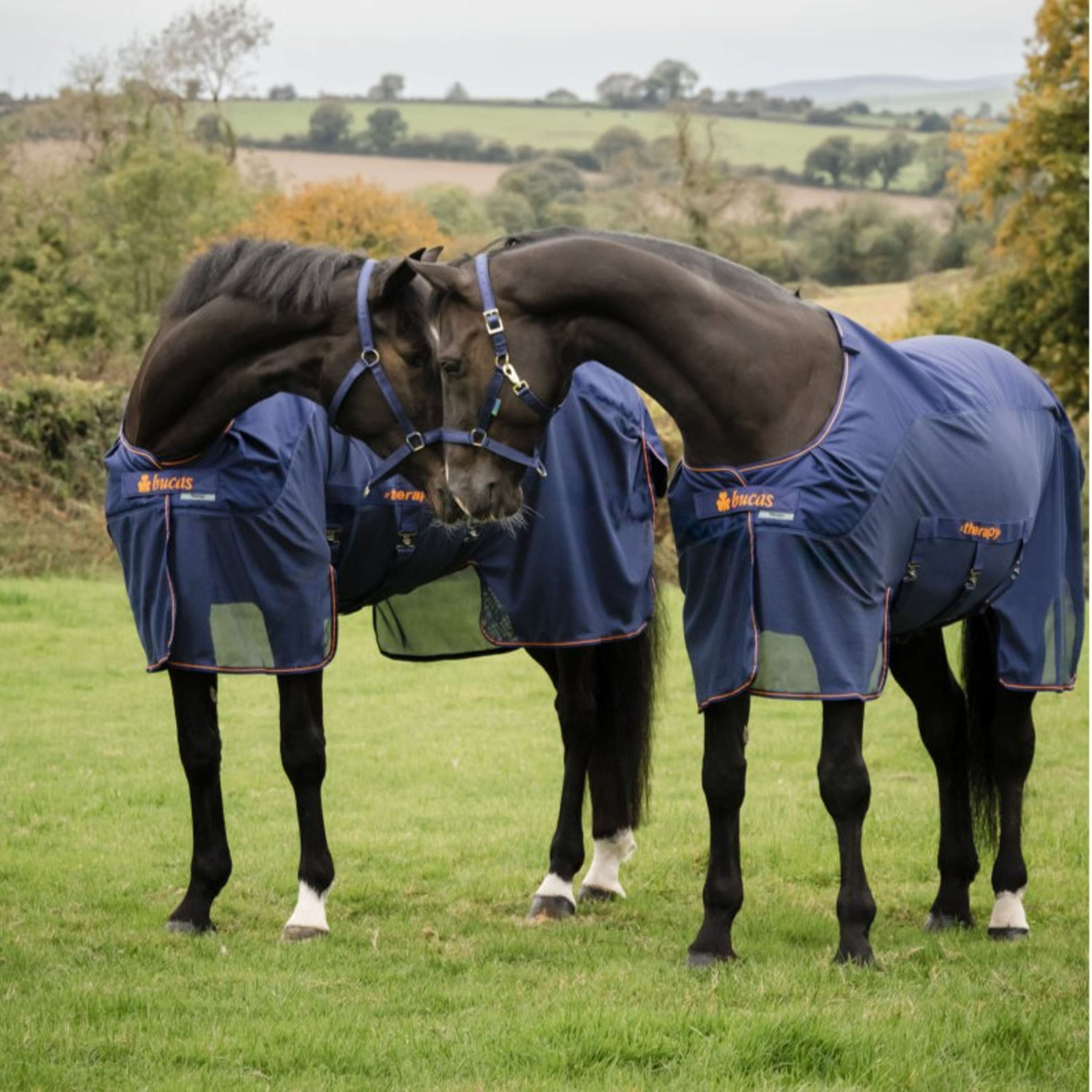 Bucas Therapy X-Range Rain Navy/Orange