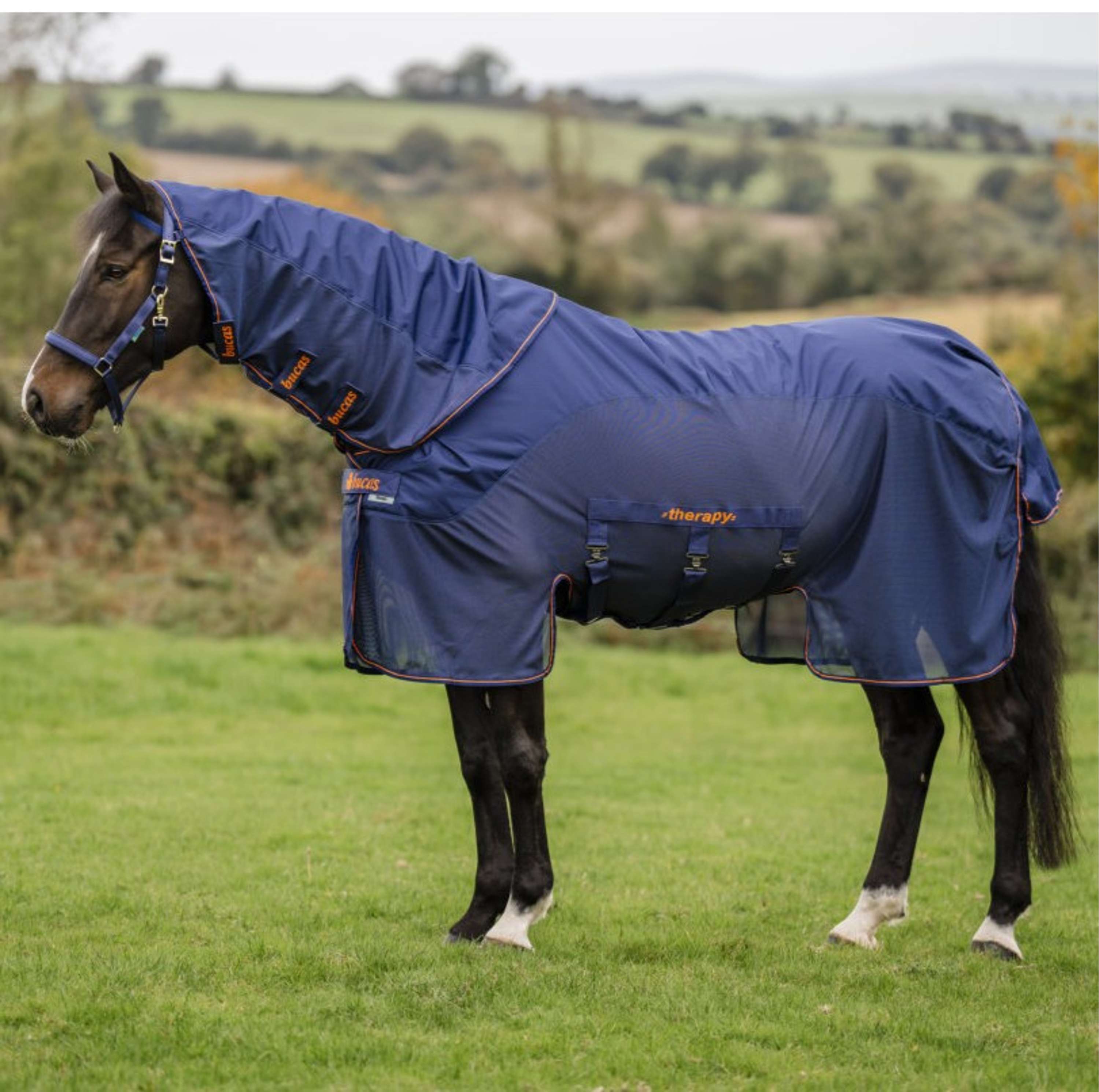 Bucas Therapy X-Range Rain Navy/Orange