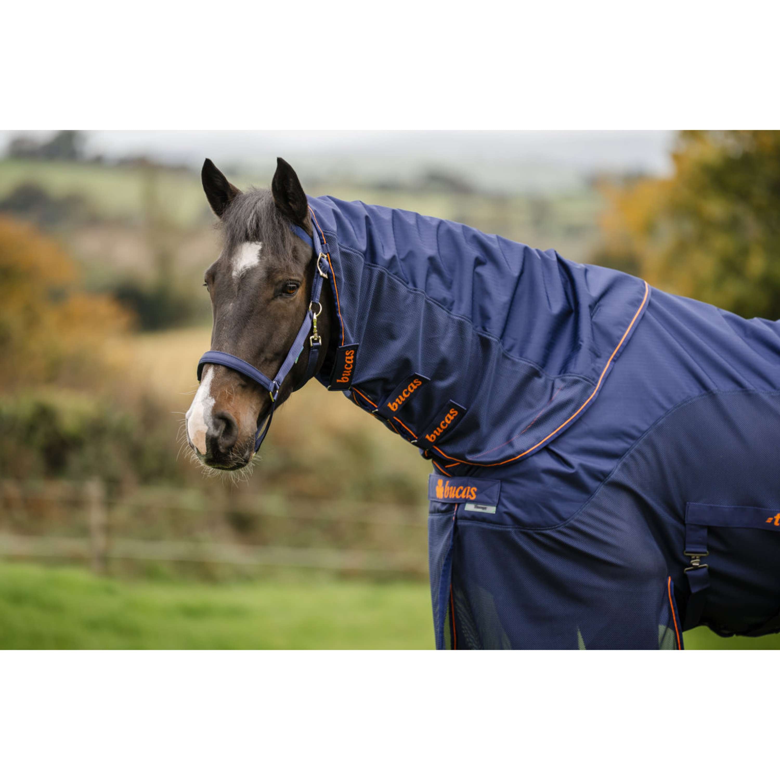 Bucas Therapy X-Range Rain Navy/Orange