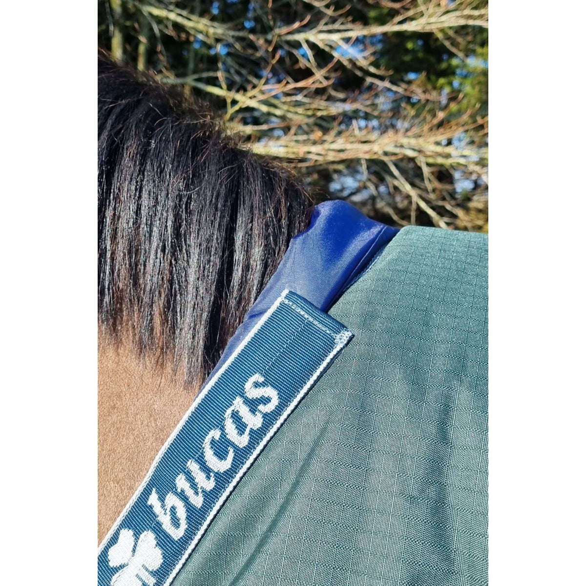 Bucas Withers Protector Blue