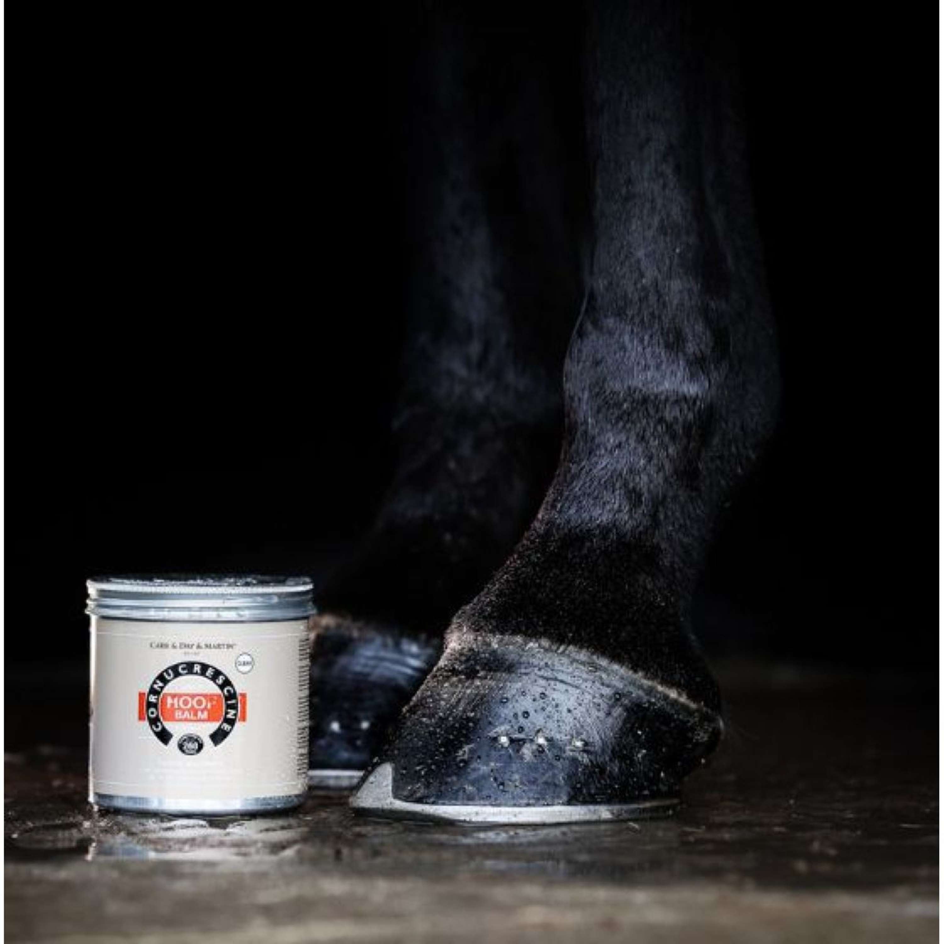 Carr & Day & Martin Cornucrescine Hoof Balm Clear