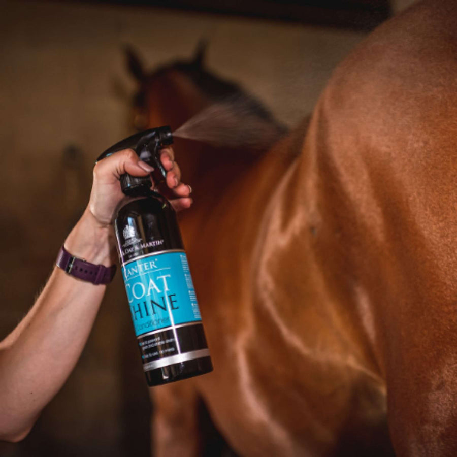 Carr & Day & Martin Gloss Spray Canter Coat Shine