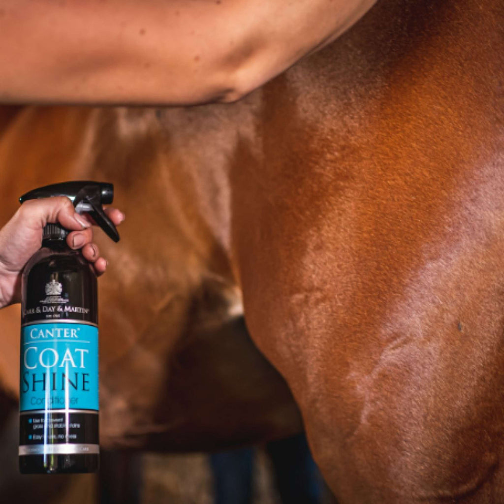 Carr & Day & Martin Gloss Spray Canter Coat Shine