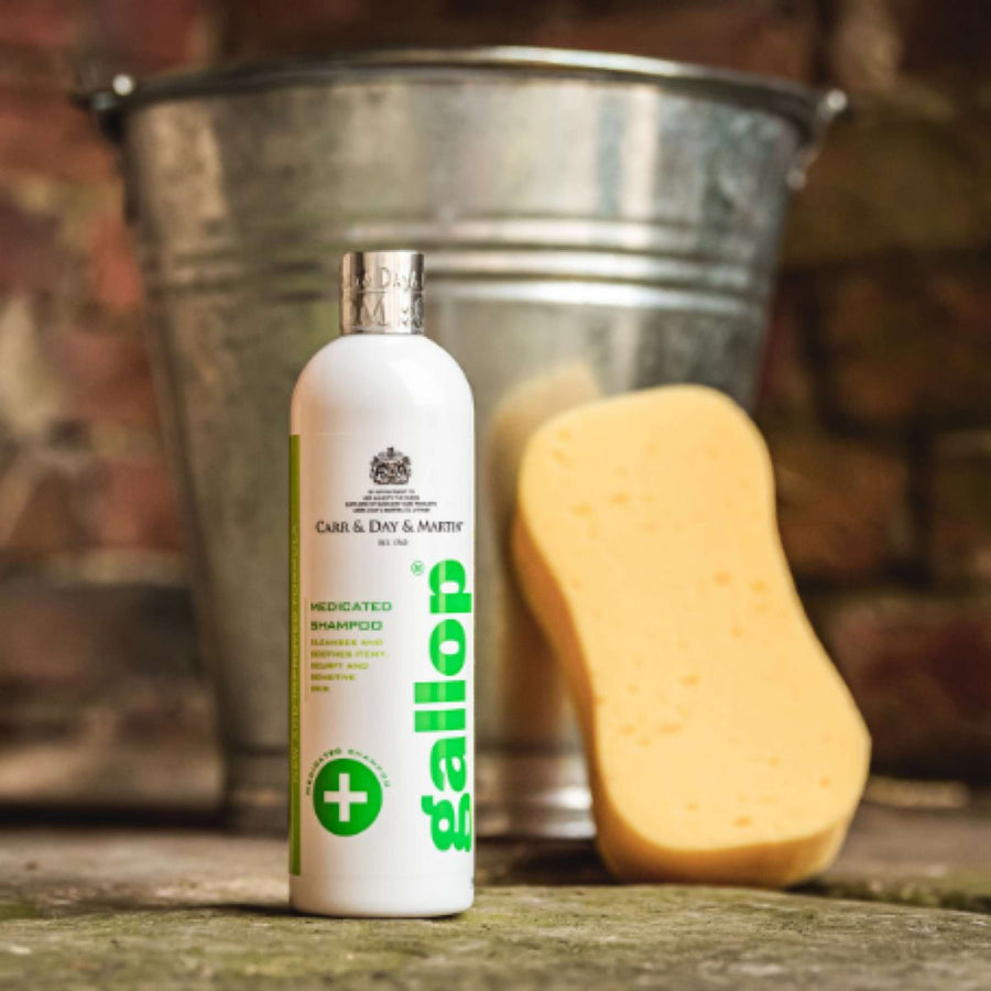 Carr & Day & Martin Shampoo Medicated Skin