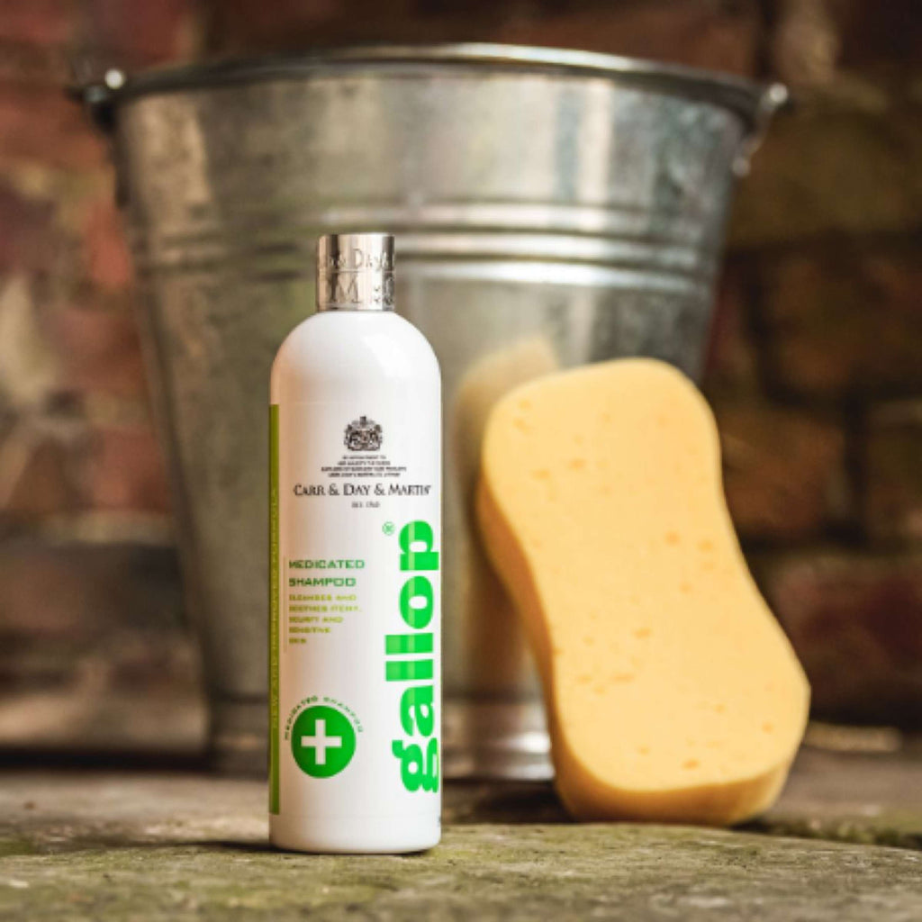 Carr & Day & Martin Shampoo Medicated Skin