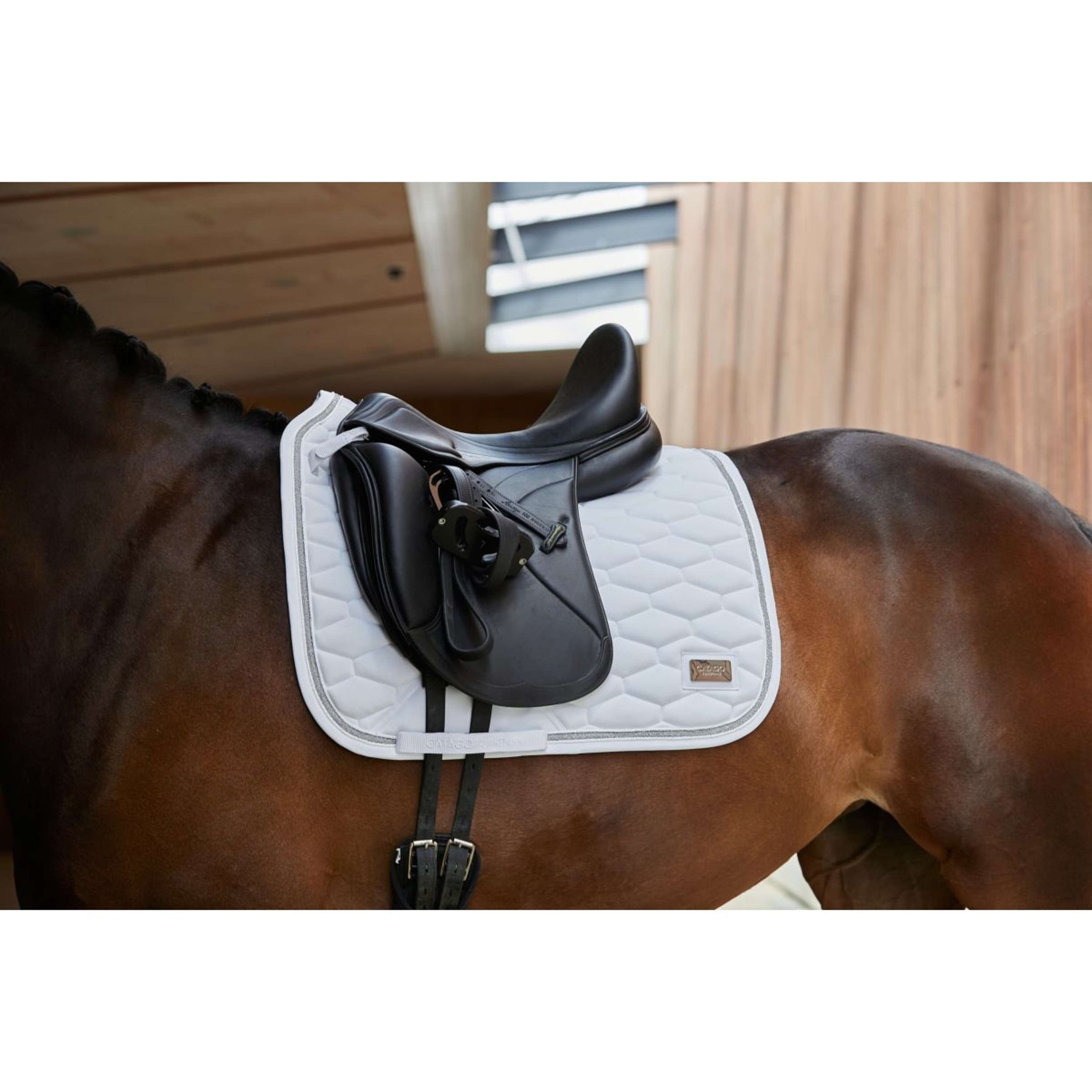 Catago Saddlepad Naomi Jumping White