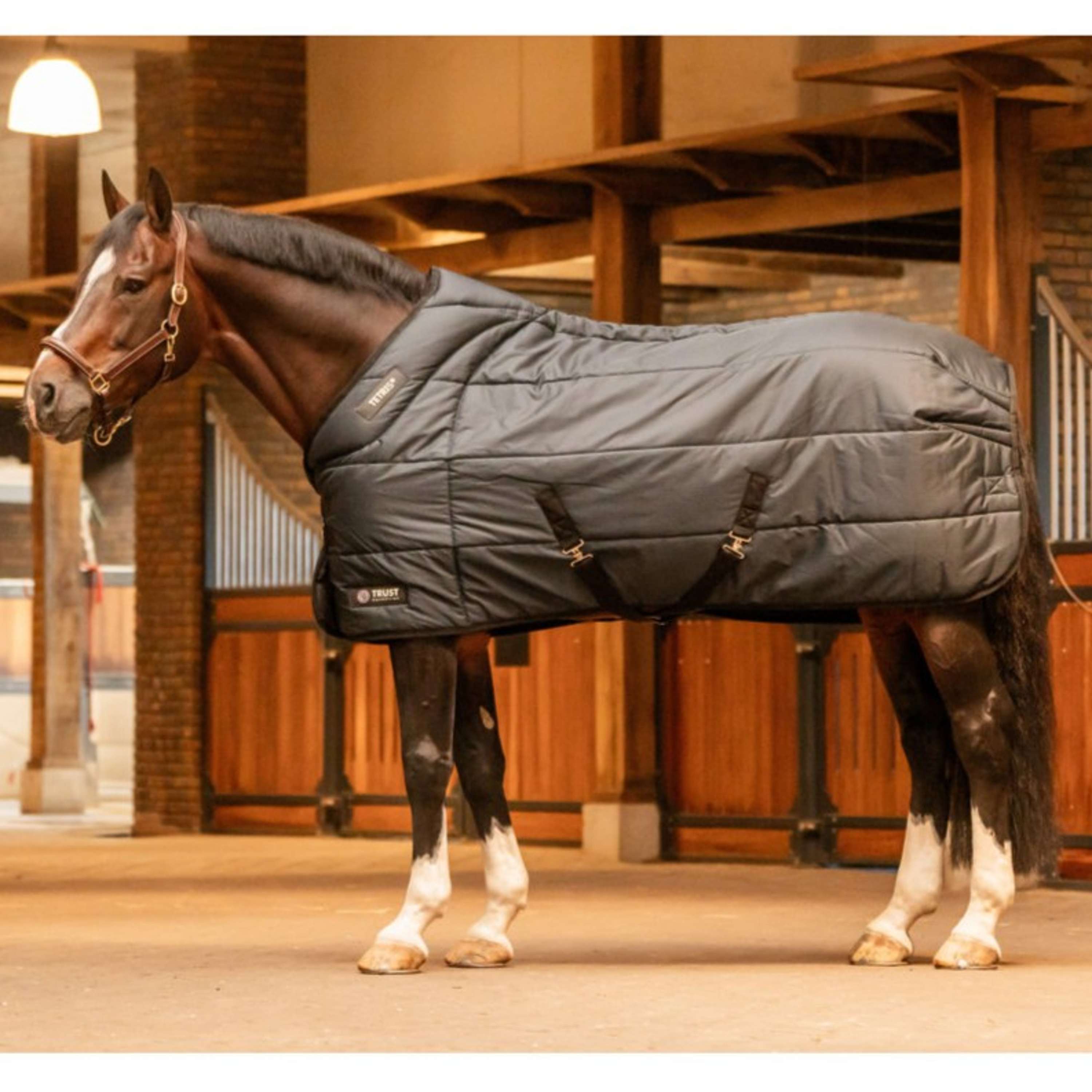 Trust Stable Rug Tetris 100g Navy