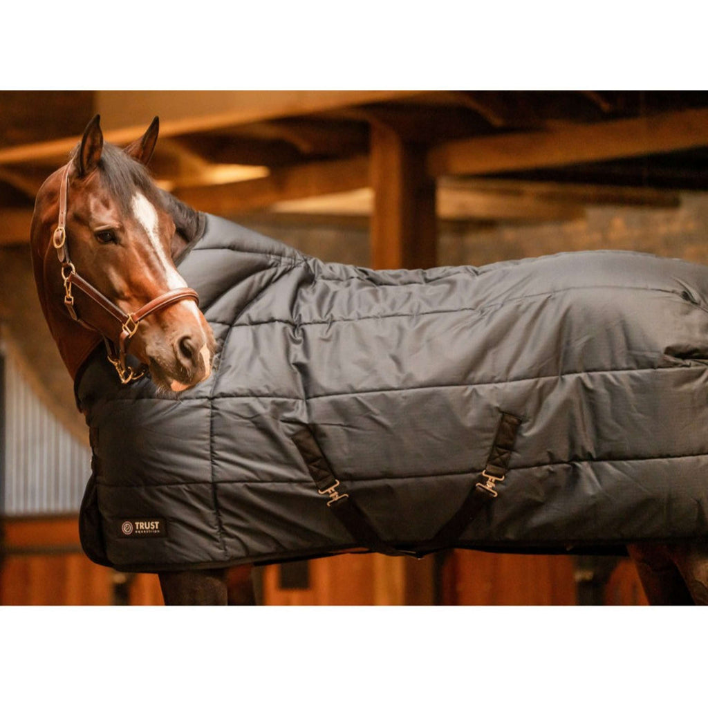 Trust Stable Rug Tetris 100g Navy