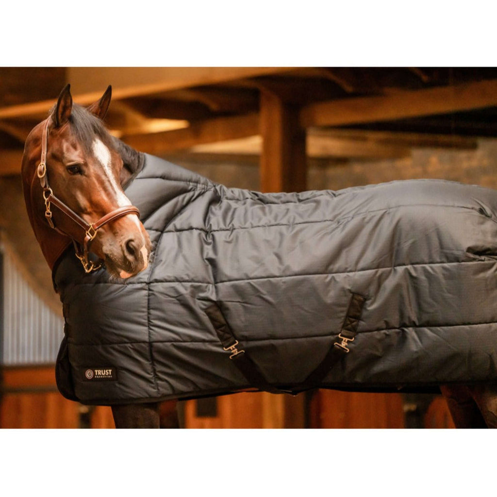 Trust Outdoor Rug Tetris 100g Navy