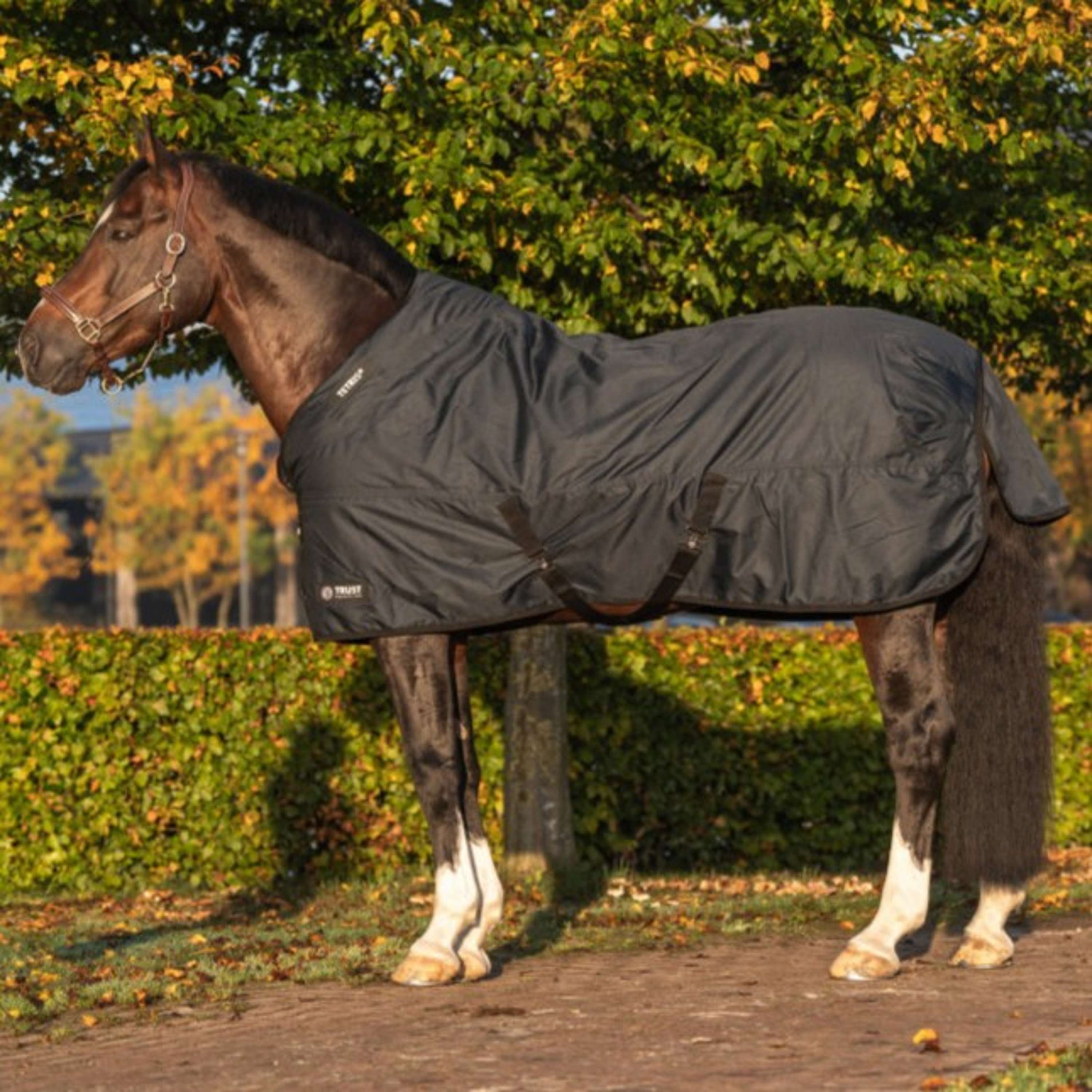 Trust Stable Rug Tetris 400g Navy