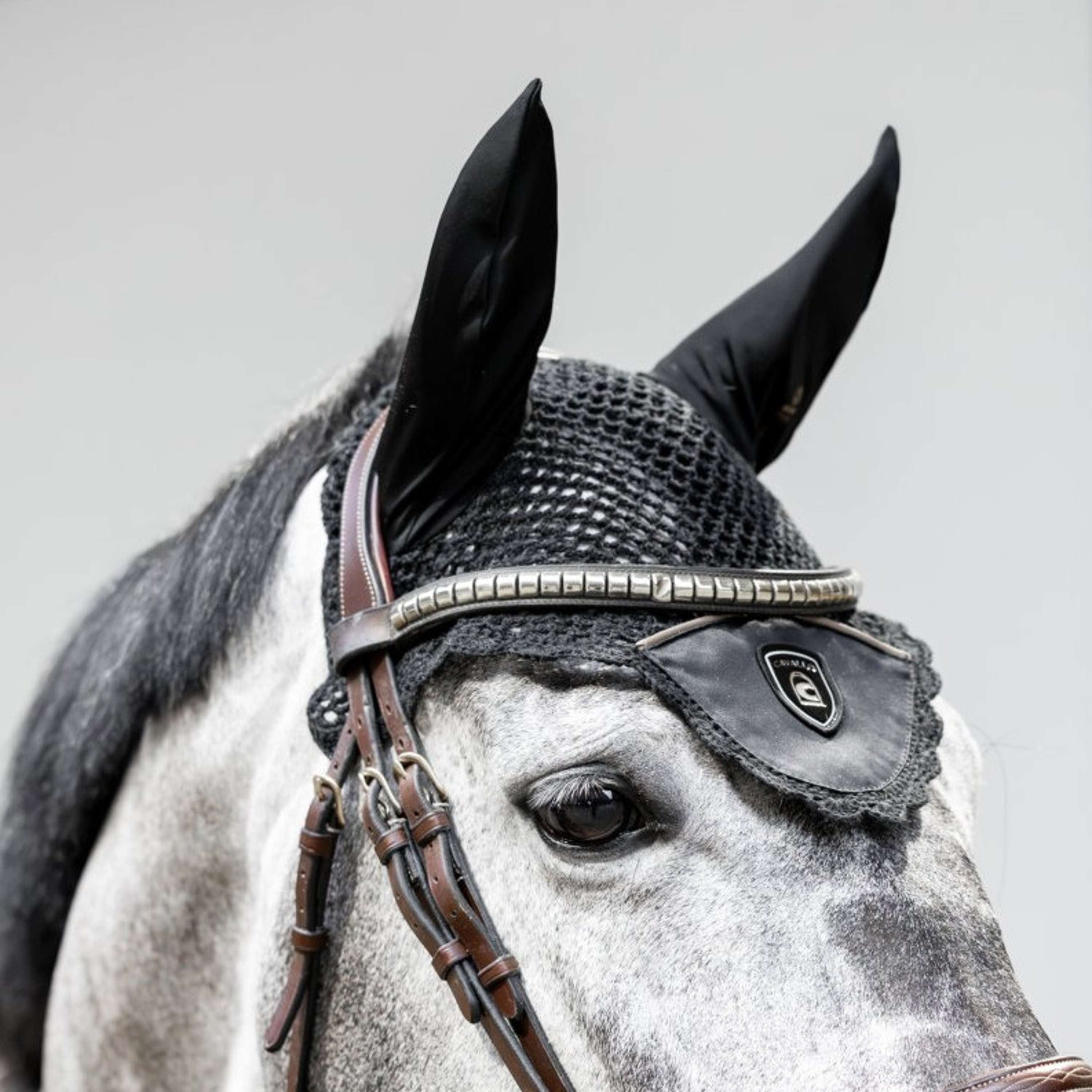 Cavallo Ear Bonnet Cavalliza Black