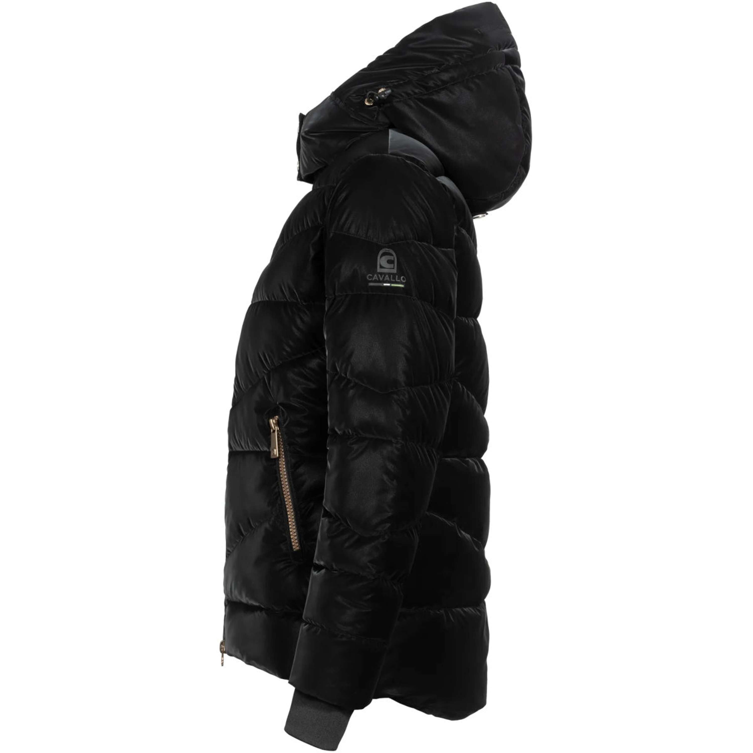 Cavallo Jacket Cavallynea Black