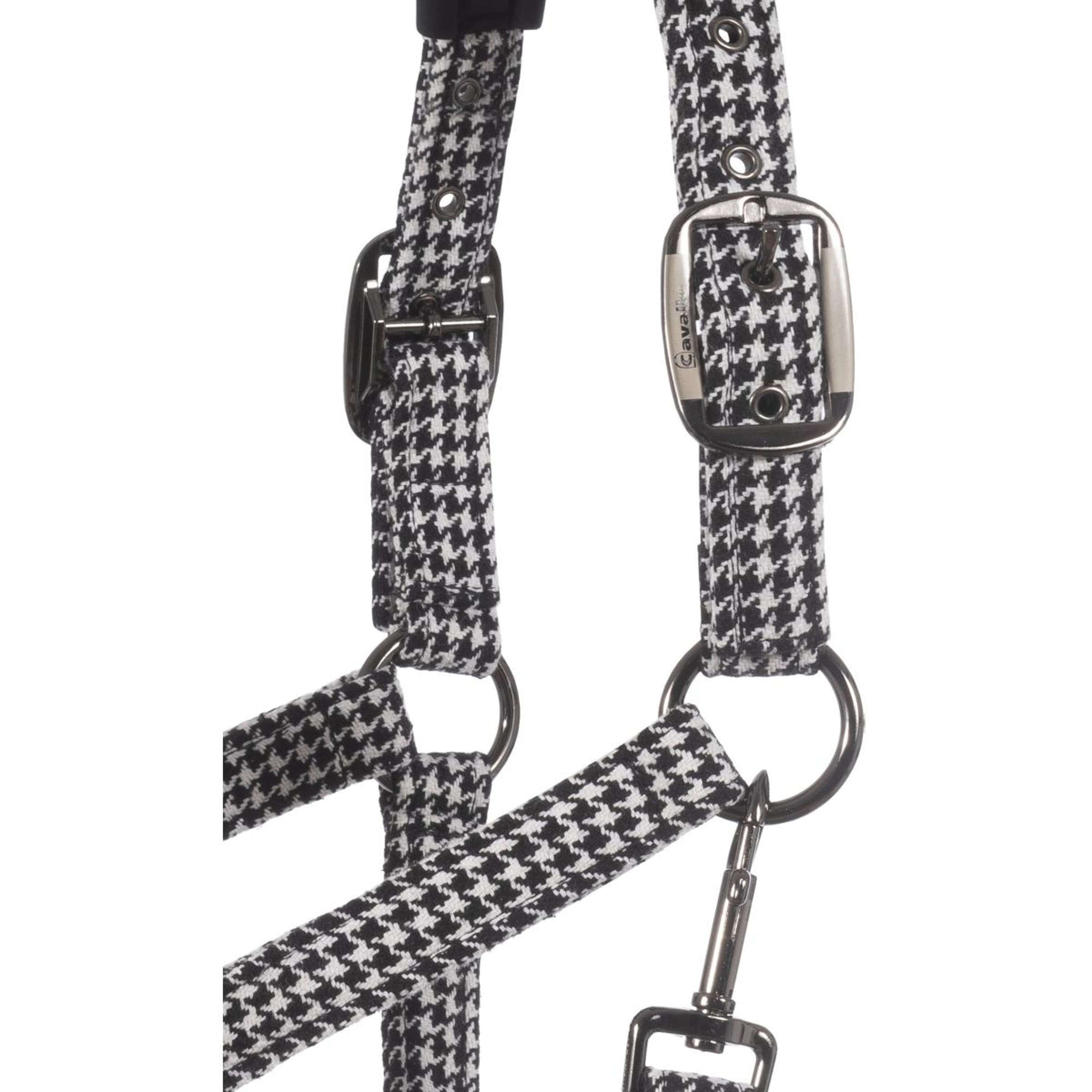 Cavallo Halter Cavalpeppy Black Cavallo Halter Cavalpeppy Black