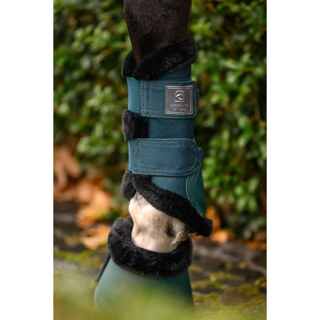 Cavallo Dressage Boots CavalJoca Dark Peacock