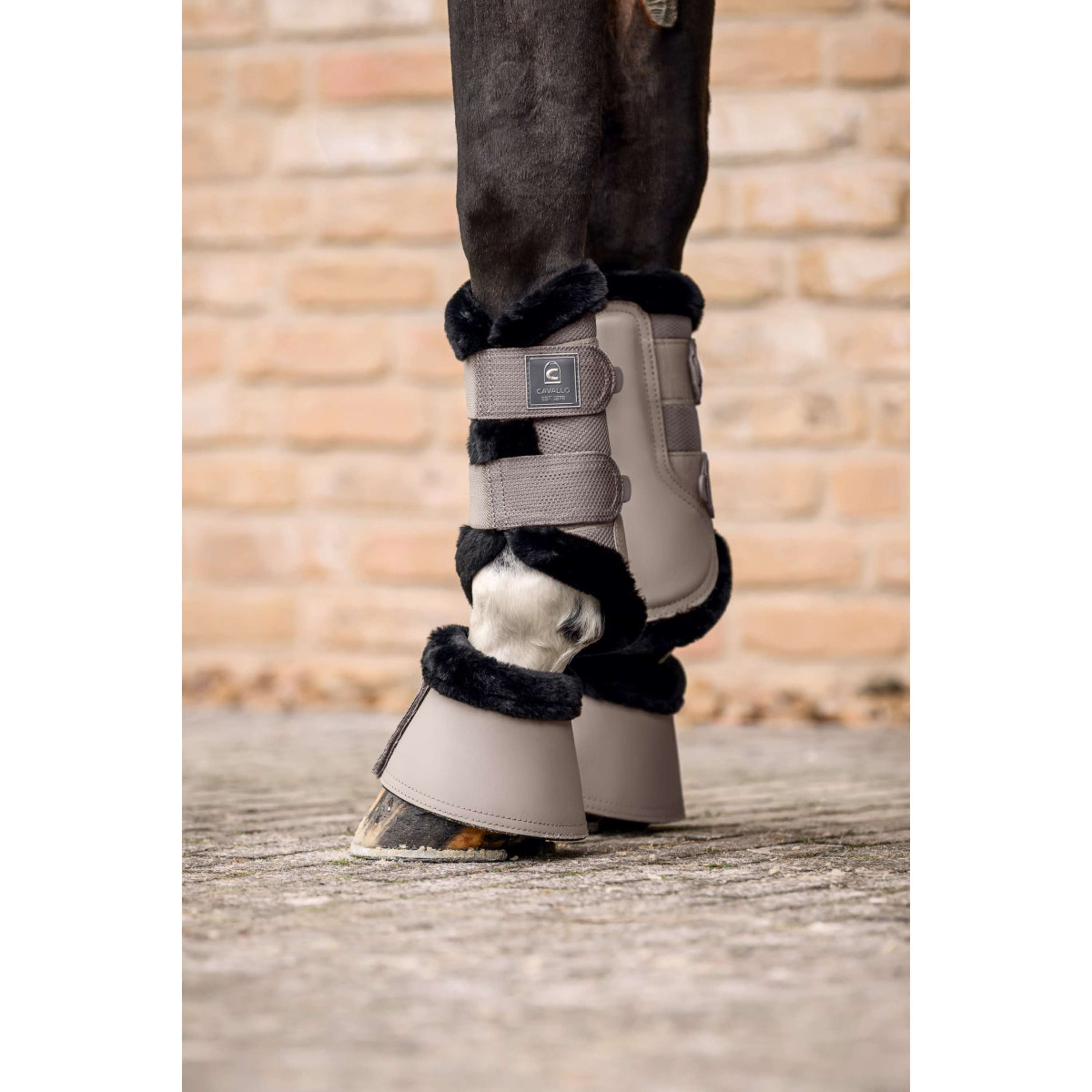 Cavallo Bell Boots CavalJodi Latte