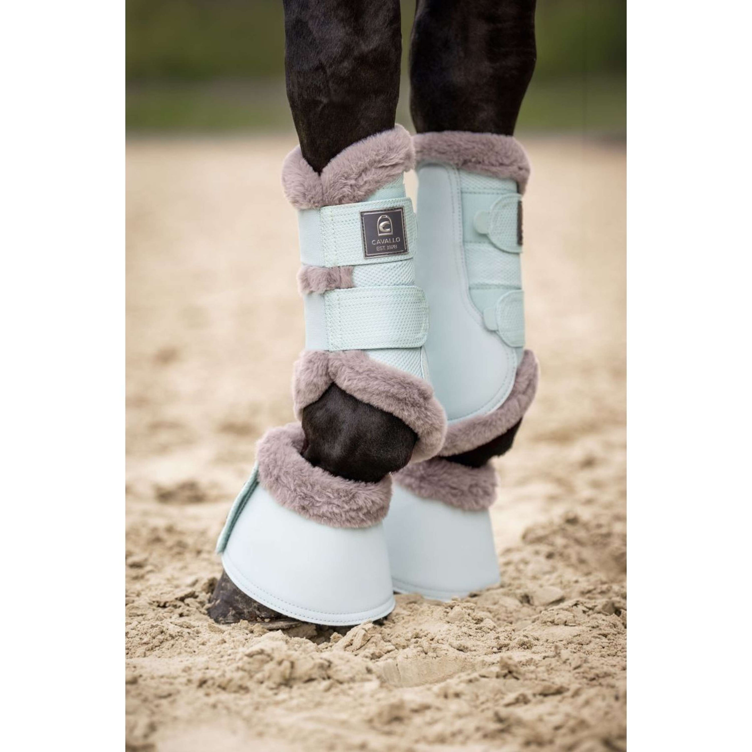 Cavallo Bell Boots CavalJodi Crystal Blue Cavallo Bell Boots CavalJodi Crystal Blue