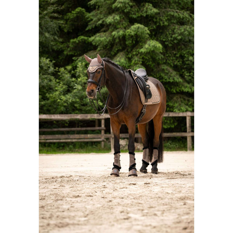 Cavallo Ear Bonnet CavalPerla Mocha Latte