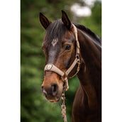 Cavallo Halter CavalPawel Mocha Latte