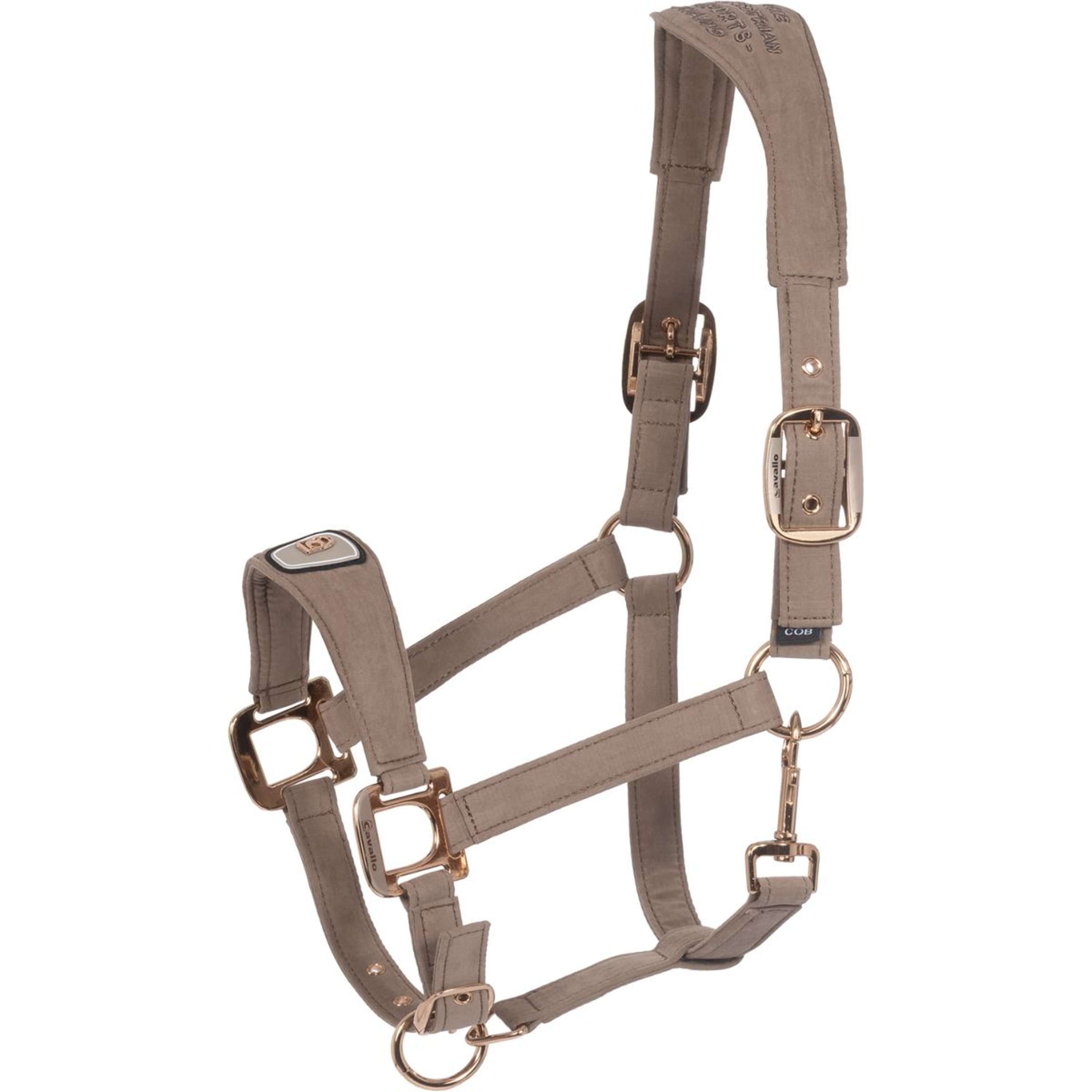 Cavallo Halter CavalPawel Mocha Latte