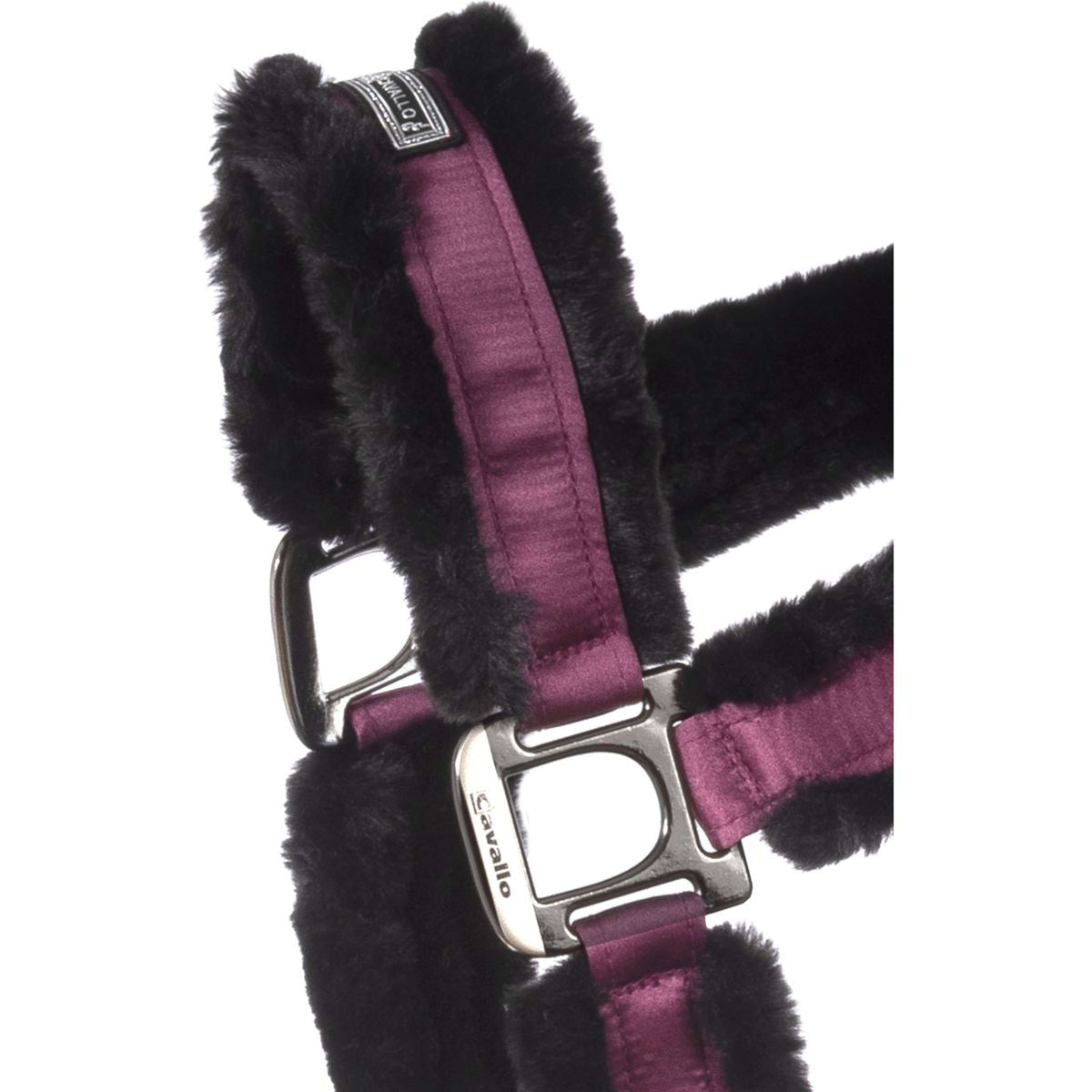 Cavallo Halter CavalJuno Dusty Violet