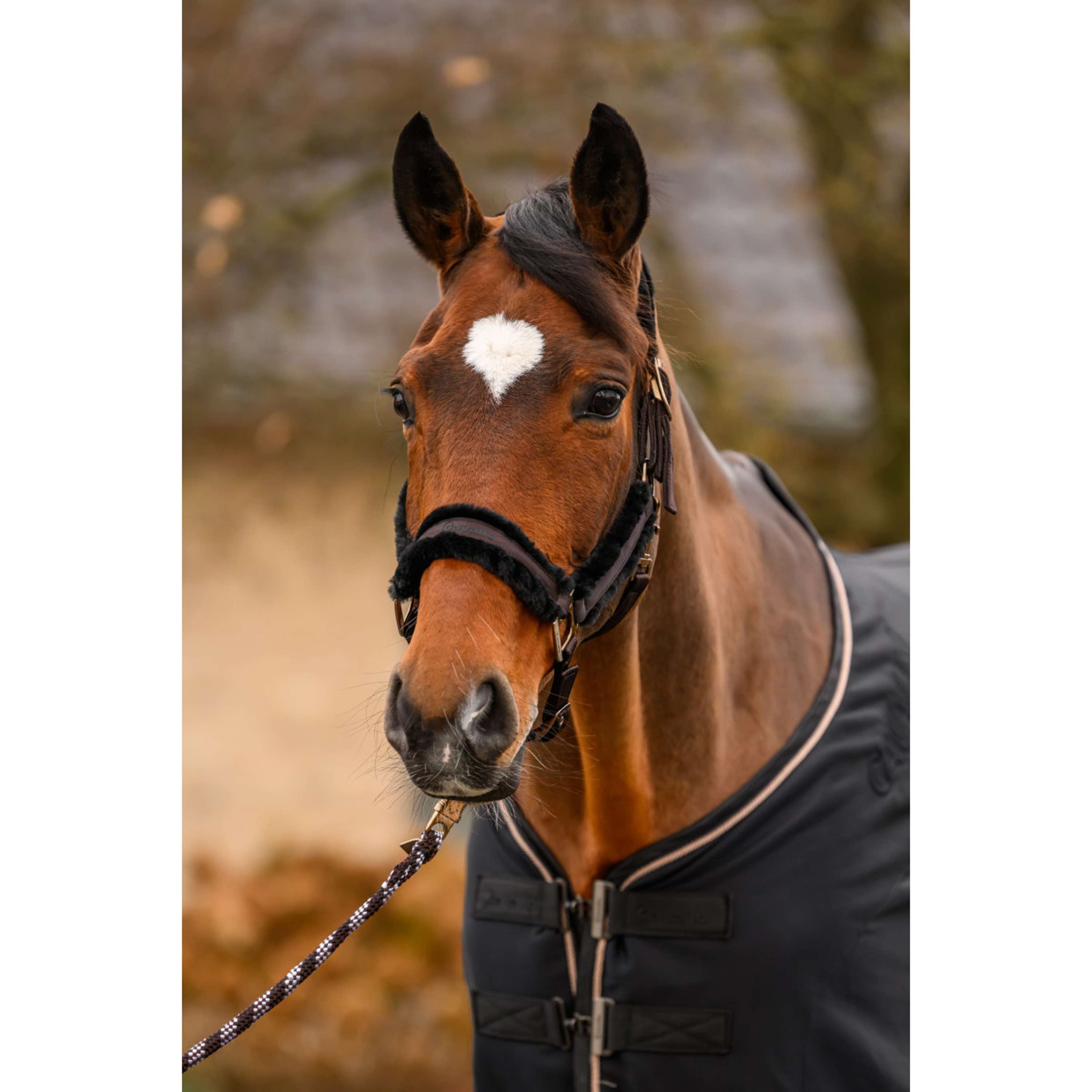 Cavallo Halter CavalJero with Fur Café Noir