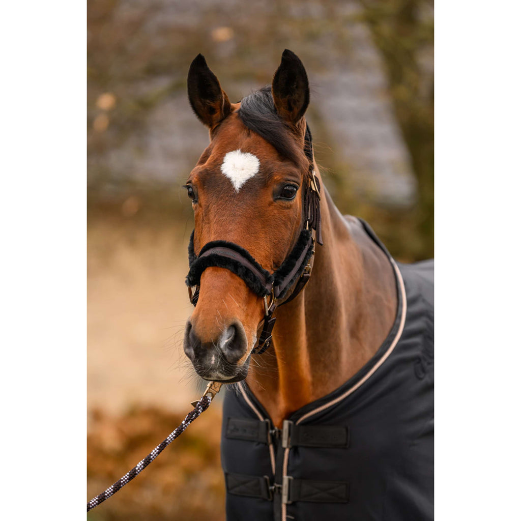 Cavallo Halter CavalJero with Fur Café Noir