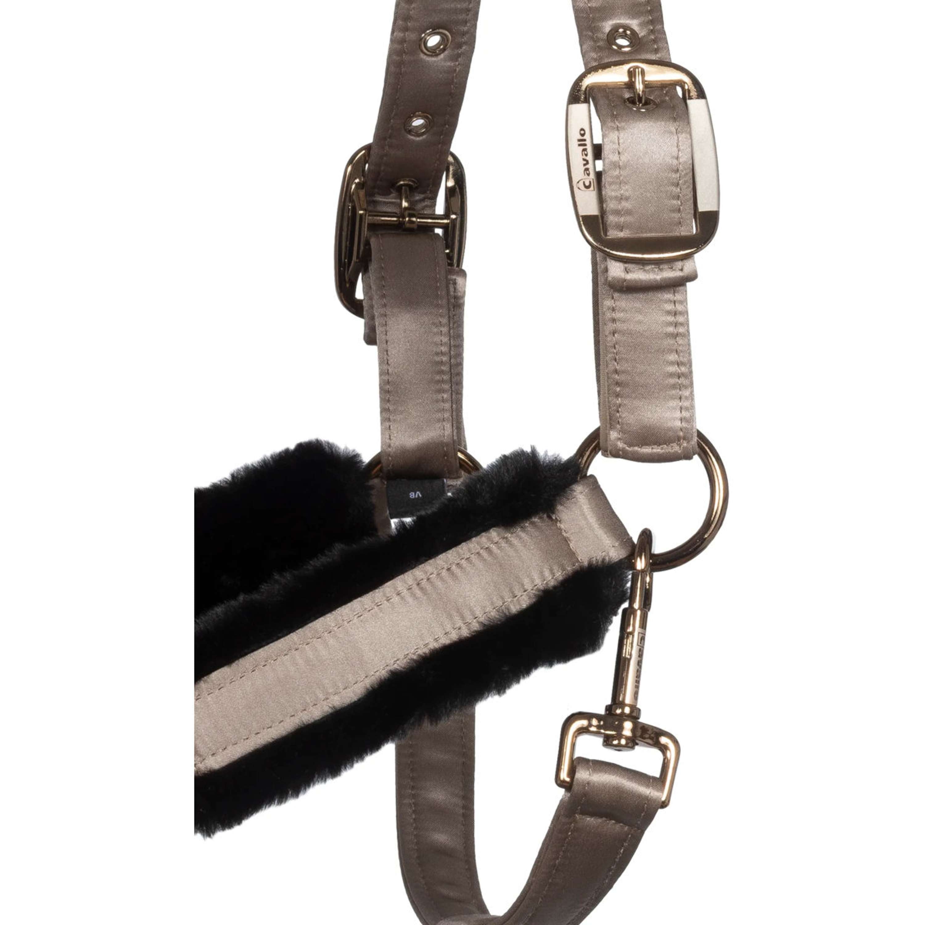 Cavallo Halter CavalJero with Fur Latte