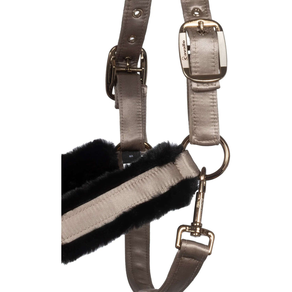 Cavallo Halter CavalJero with Fur Latte