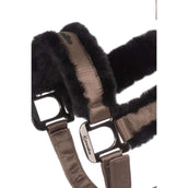 Cavallo Halter CavalJero Mocha Latte