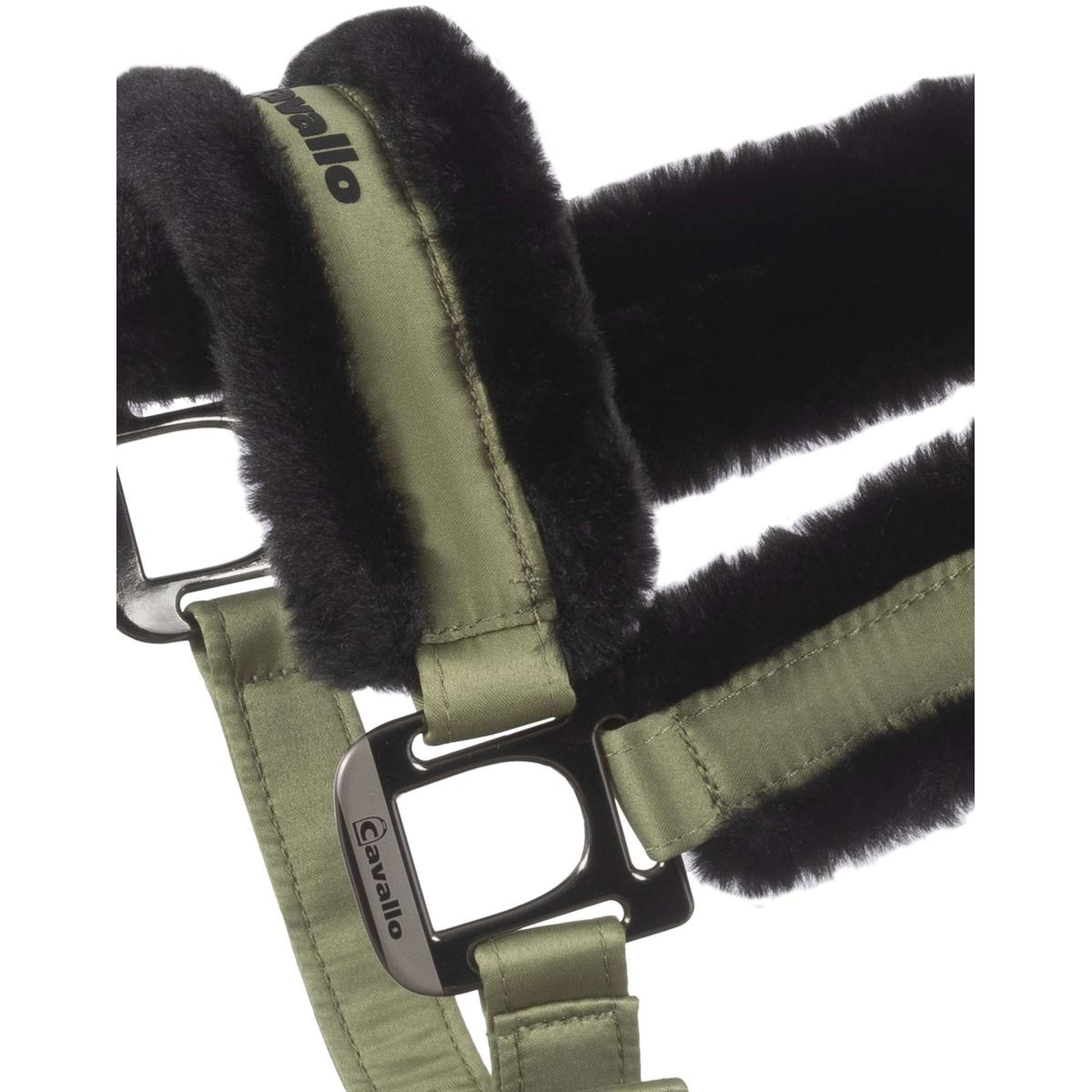 Cavallo Halter Cavaljero Tea Leaf Cavallo Halter Cavaljero Tea Leaf