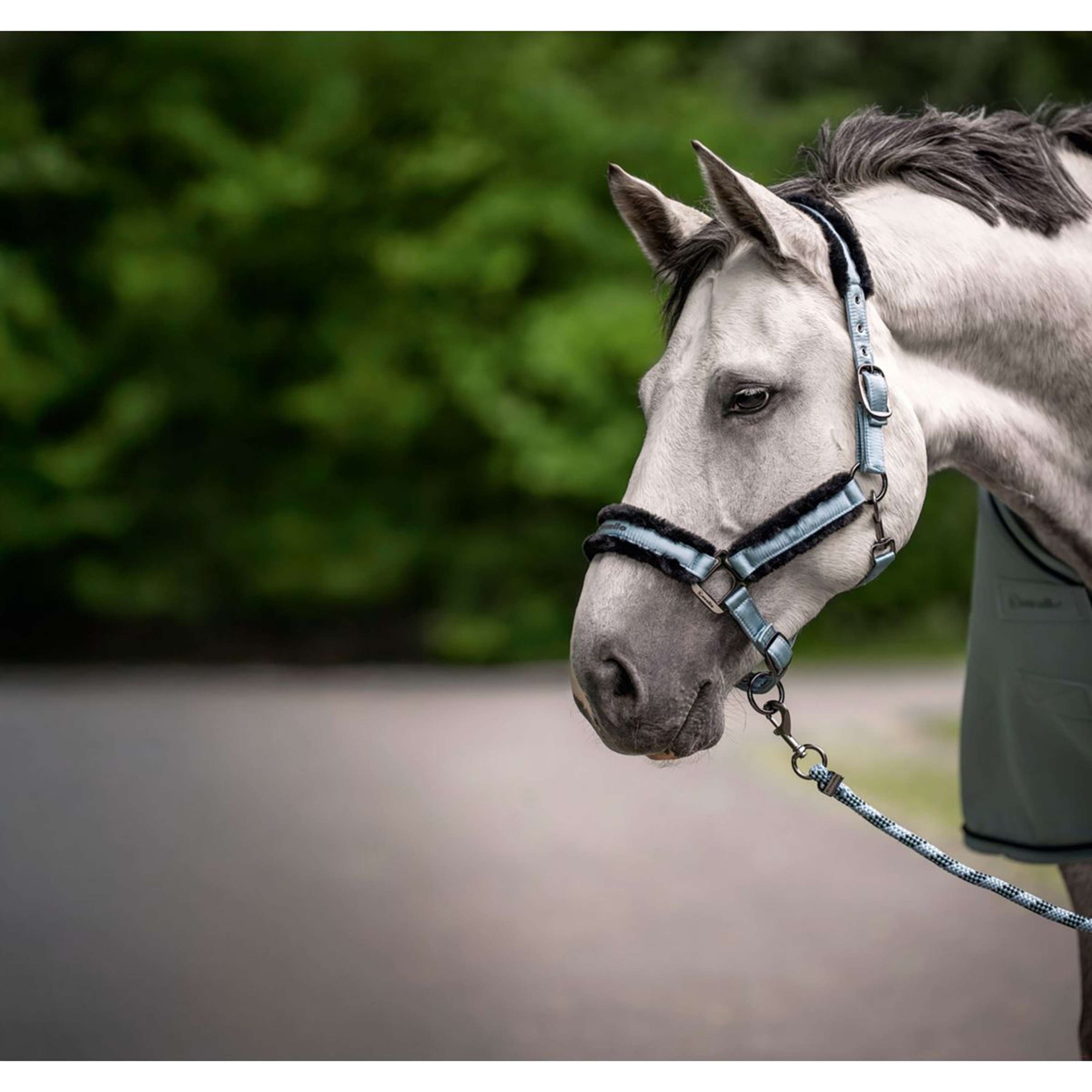 Cavallo Halter CavalJero Soft Aqua