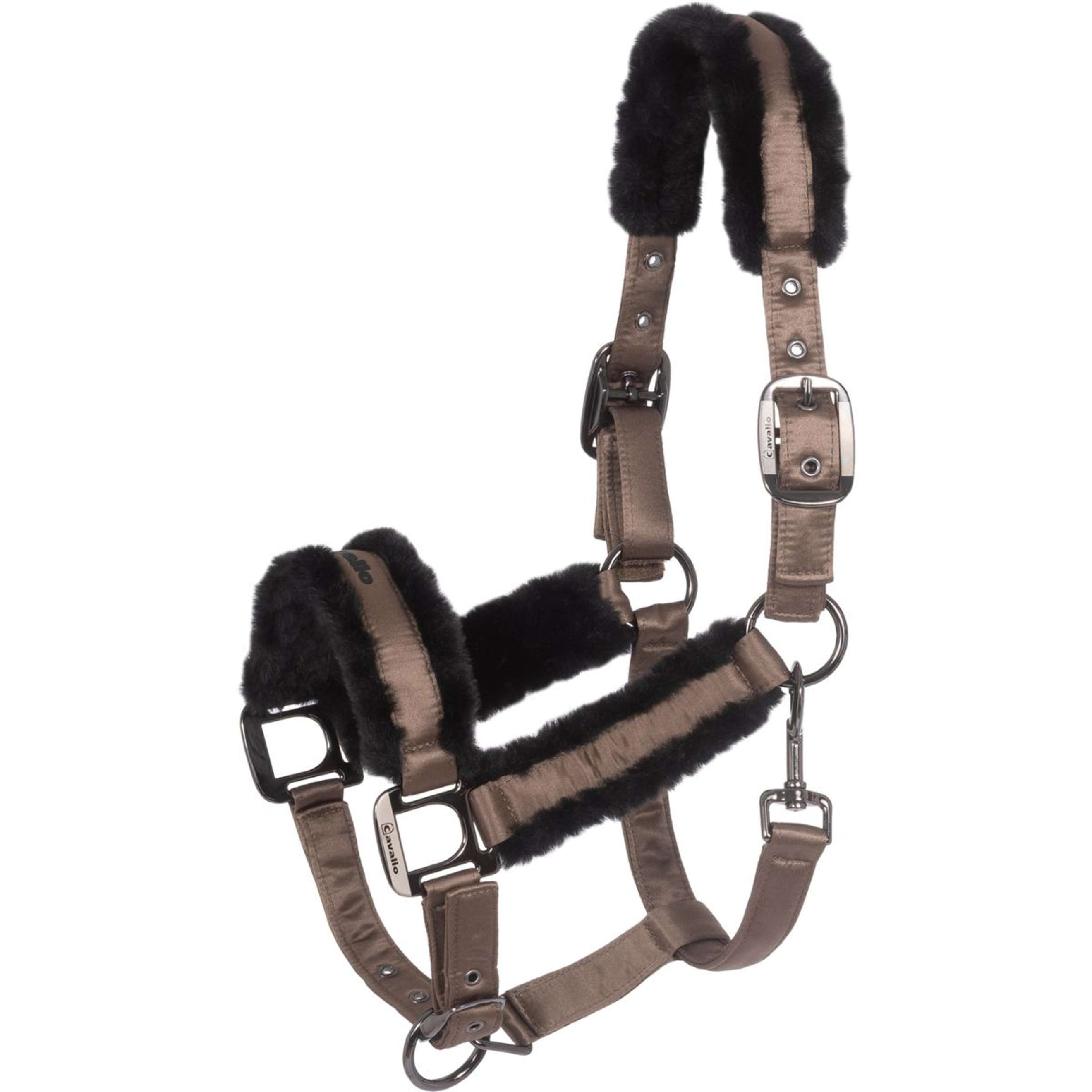 Cavallo Halter CavalJero Mocha Latte