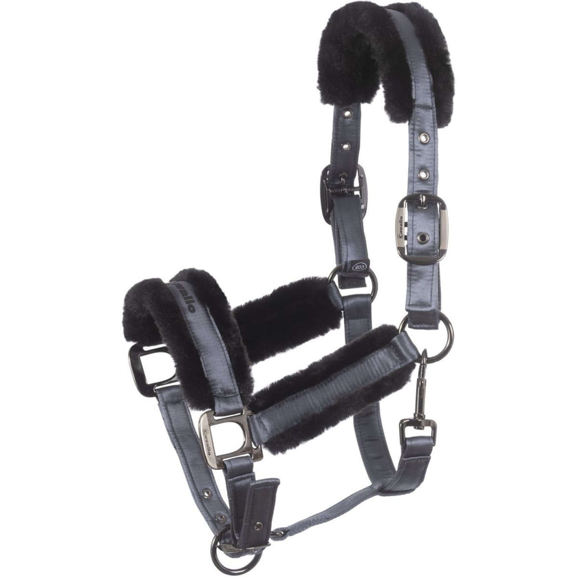 Cavallo Halter Cavaljero Steel Cavallo Halter Cavaljero Steel