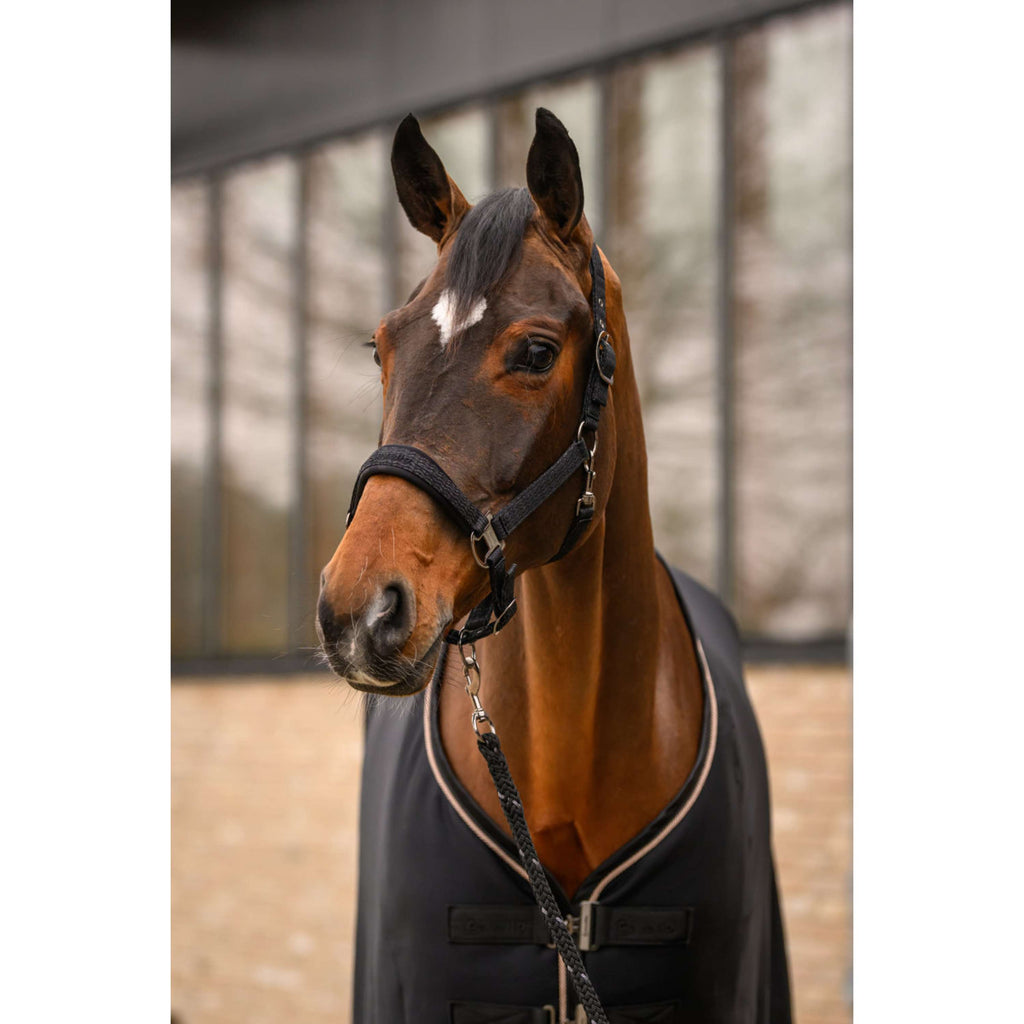 Cavallo Lead Rope CavalRey with Carabiner Black