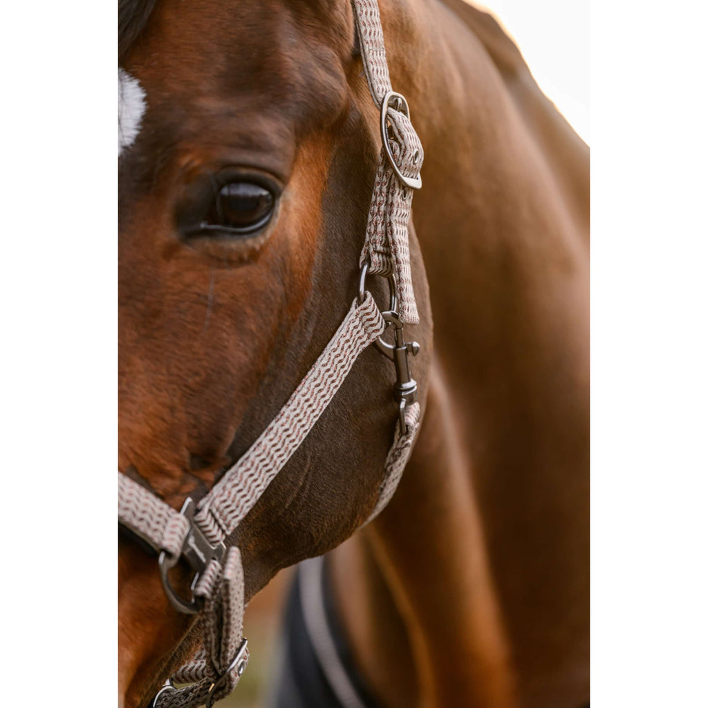 Cavallo Halter CavalRose Latte