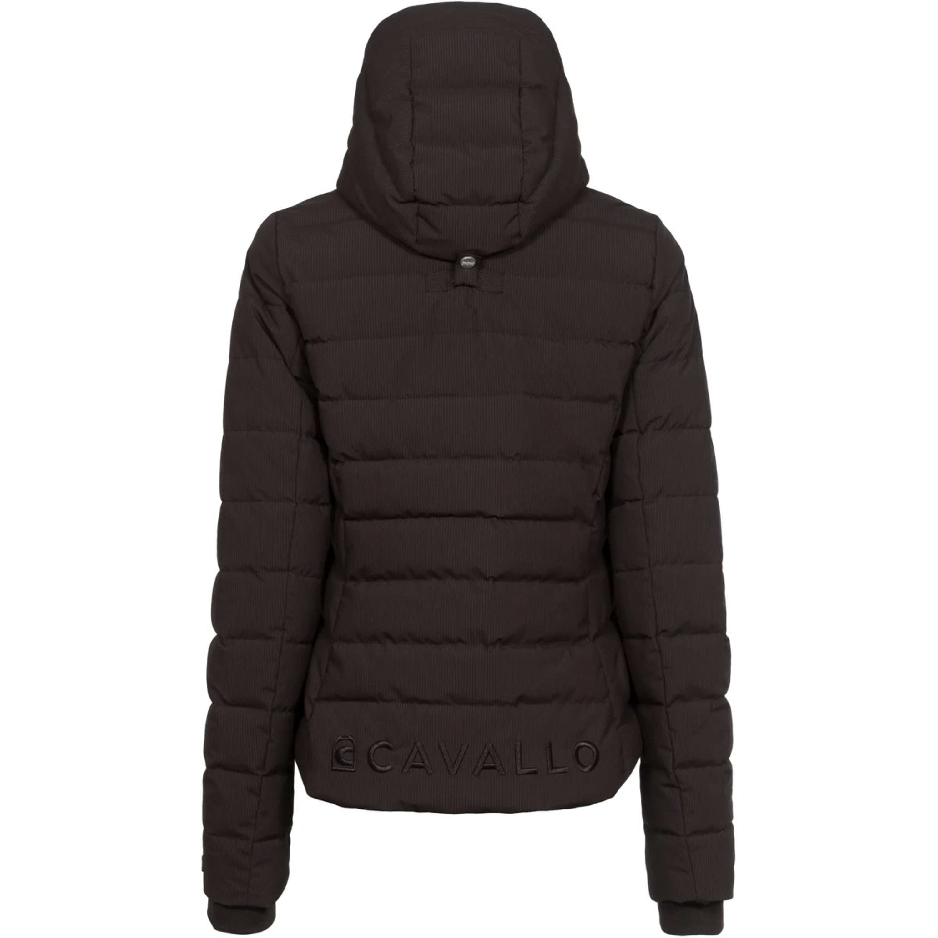 Cavallo Jacket CavalDanet Café Noir