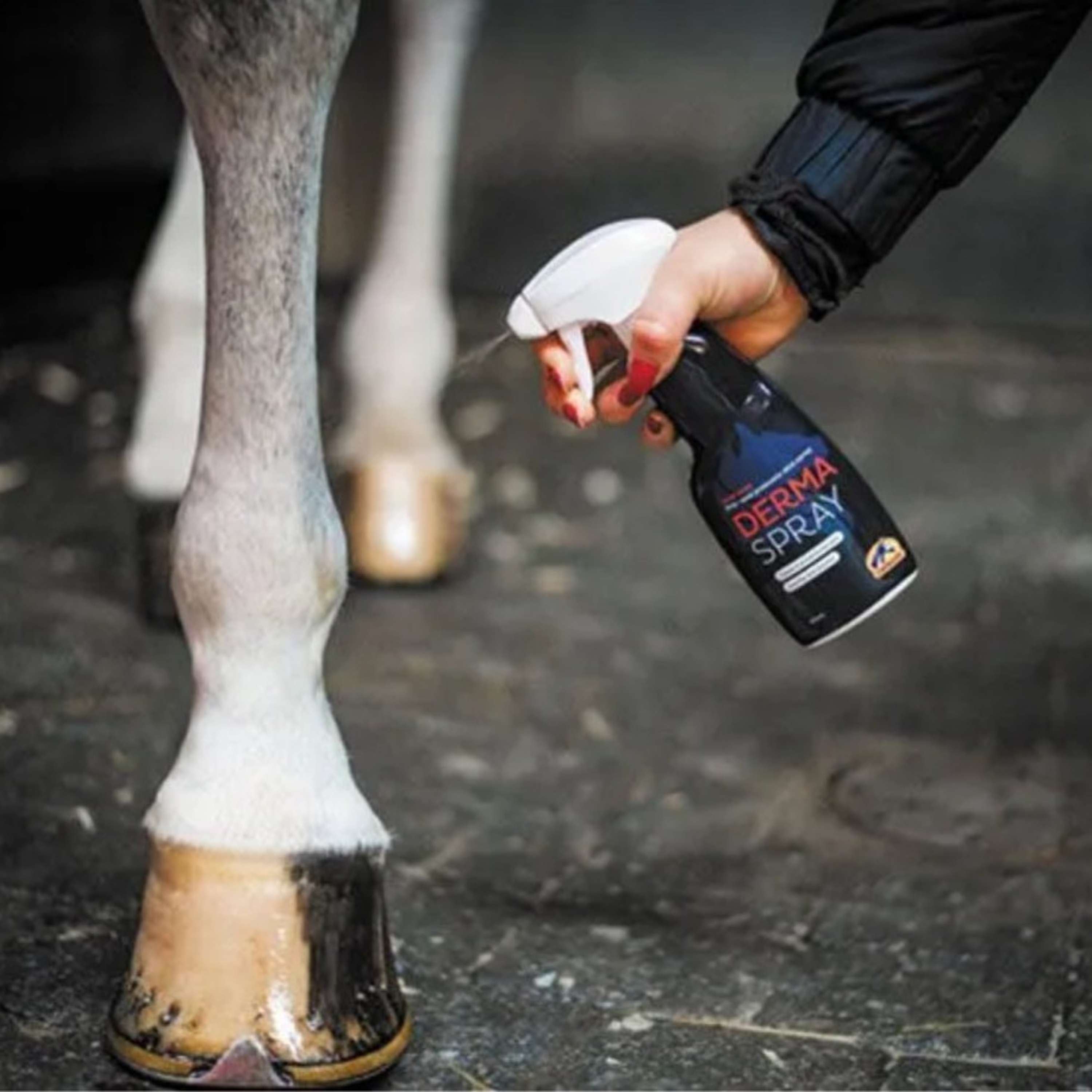 Cavalor Derma Spray