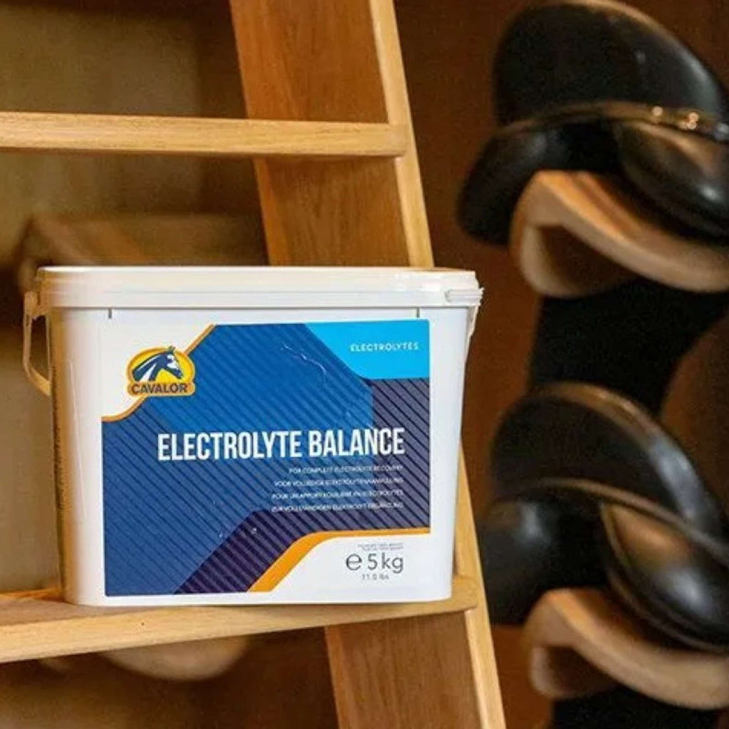 Cavalor Electrolytes Balance
