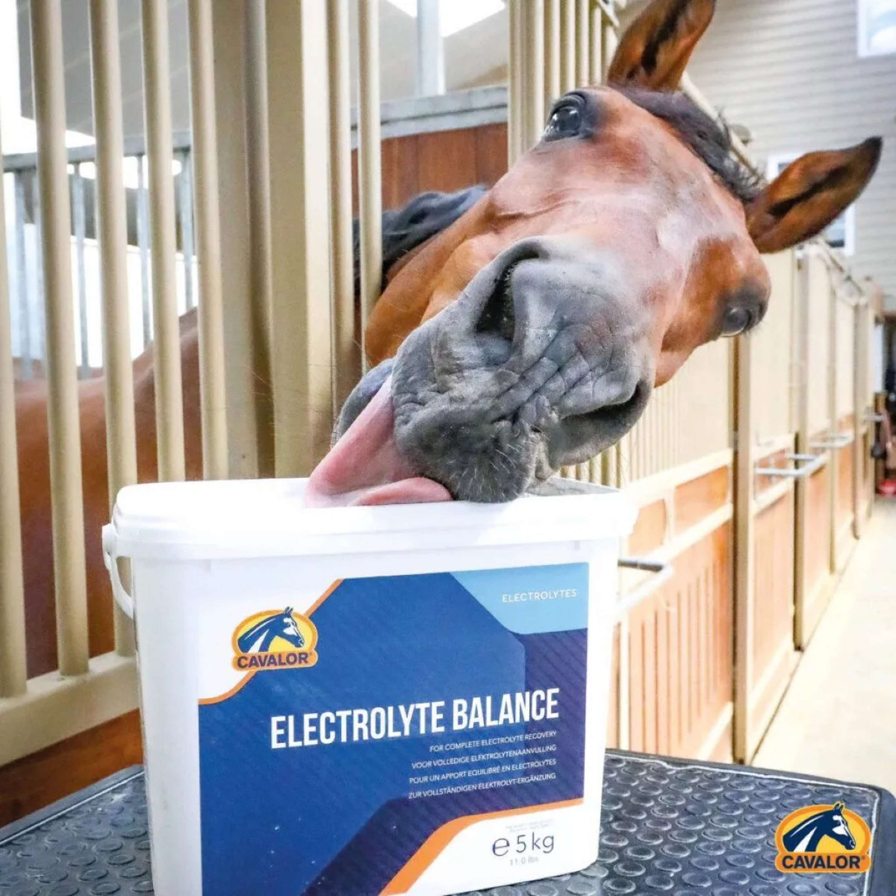 Cavalor Electrolytes Balance