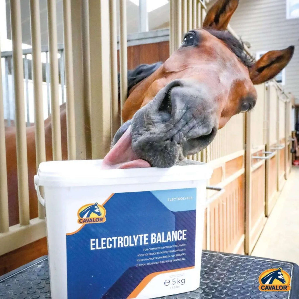 Cavalor Electrolytes Balance