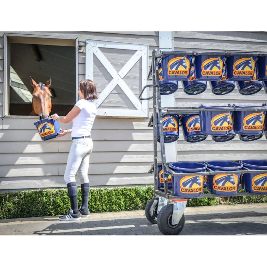 Cavalor Horse Feed Mash & Mix
