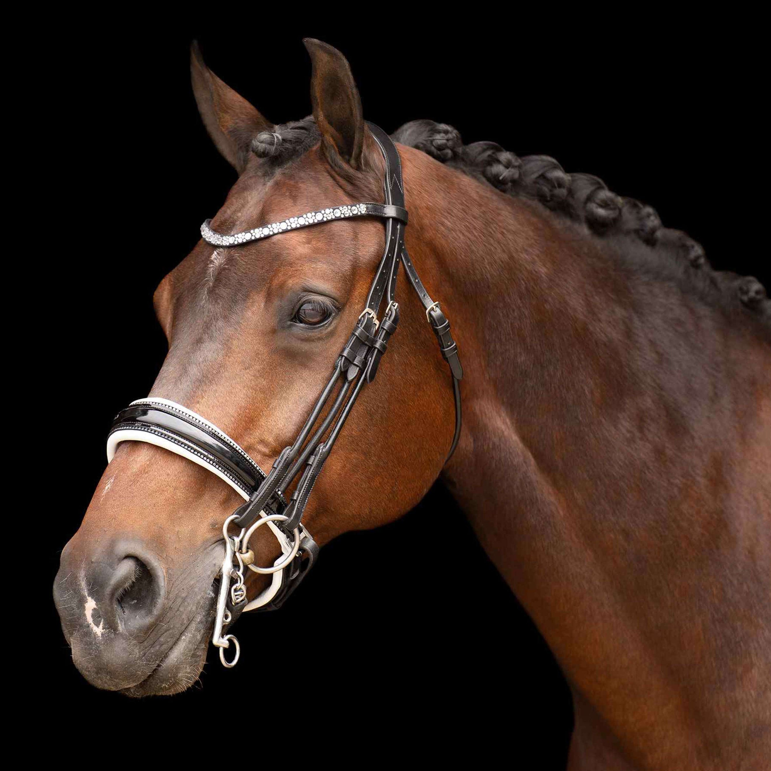 Imperial Riding Double Bridle IRHOlympia Black/White