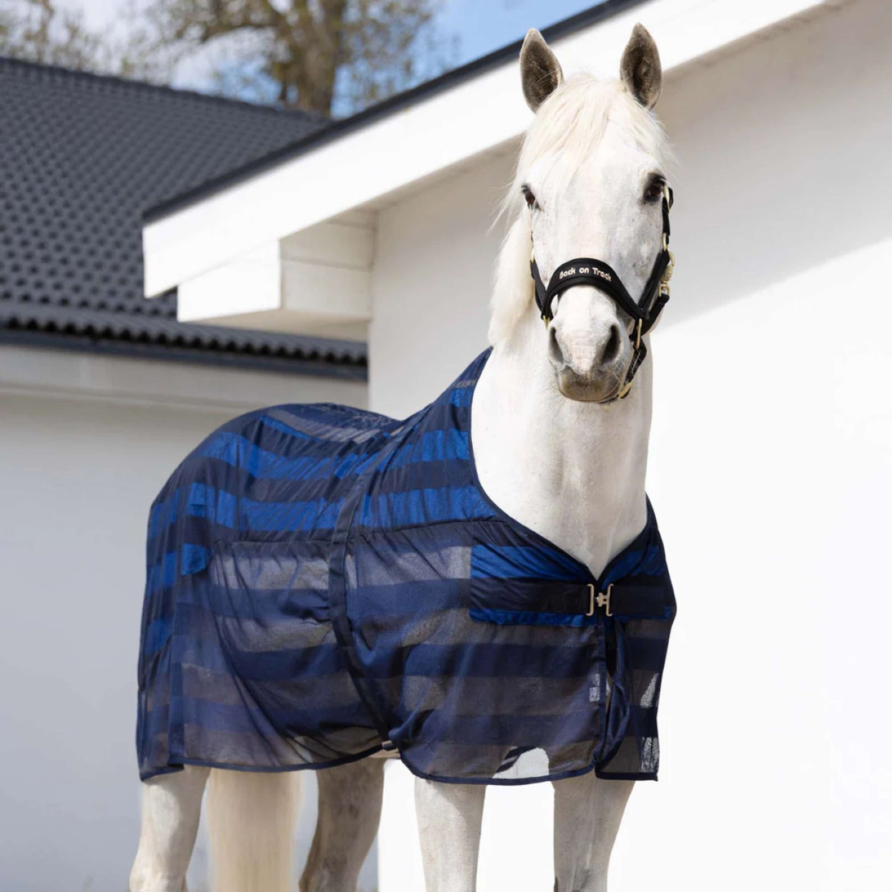 Cool on Track Mesh Rug Blue