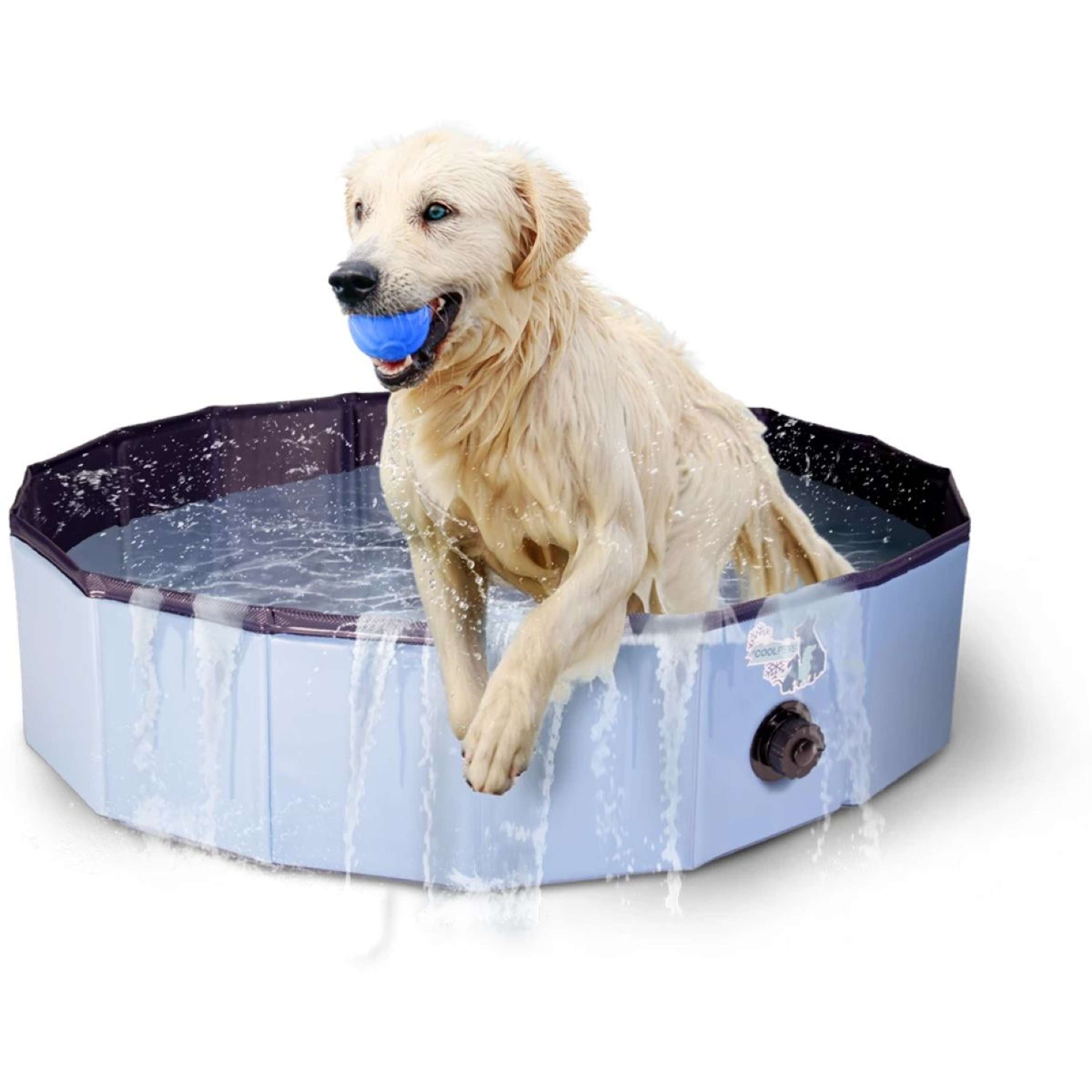 Coolpets Pool