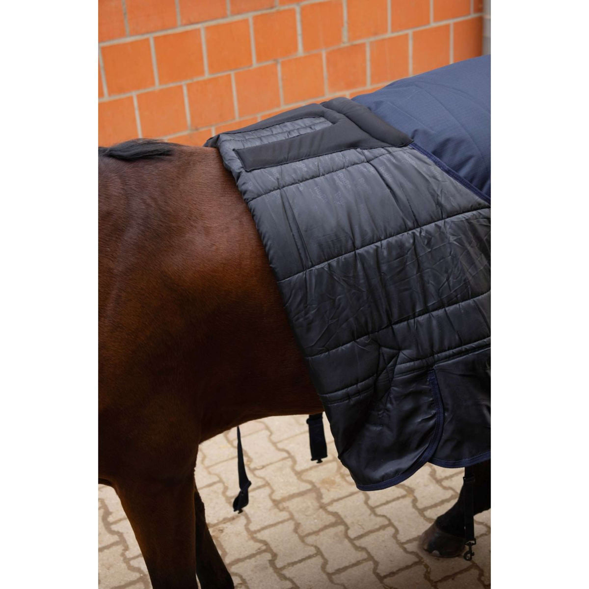 RugBe by Covalliero Winter Rug AW25 100gr Dark Navy