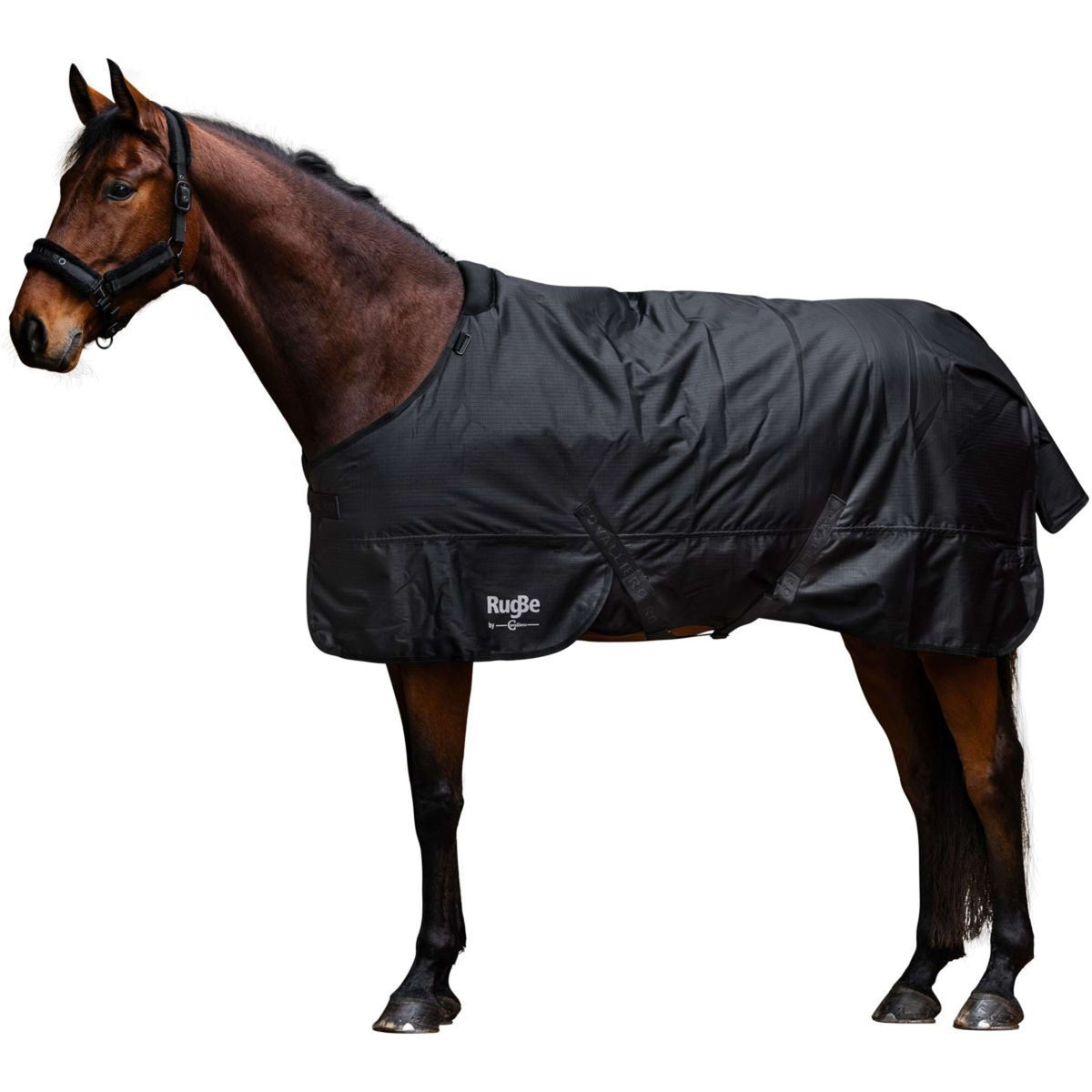 RugBe by Covalliero Winter Rug AW25 300g Black